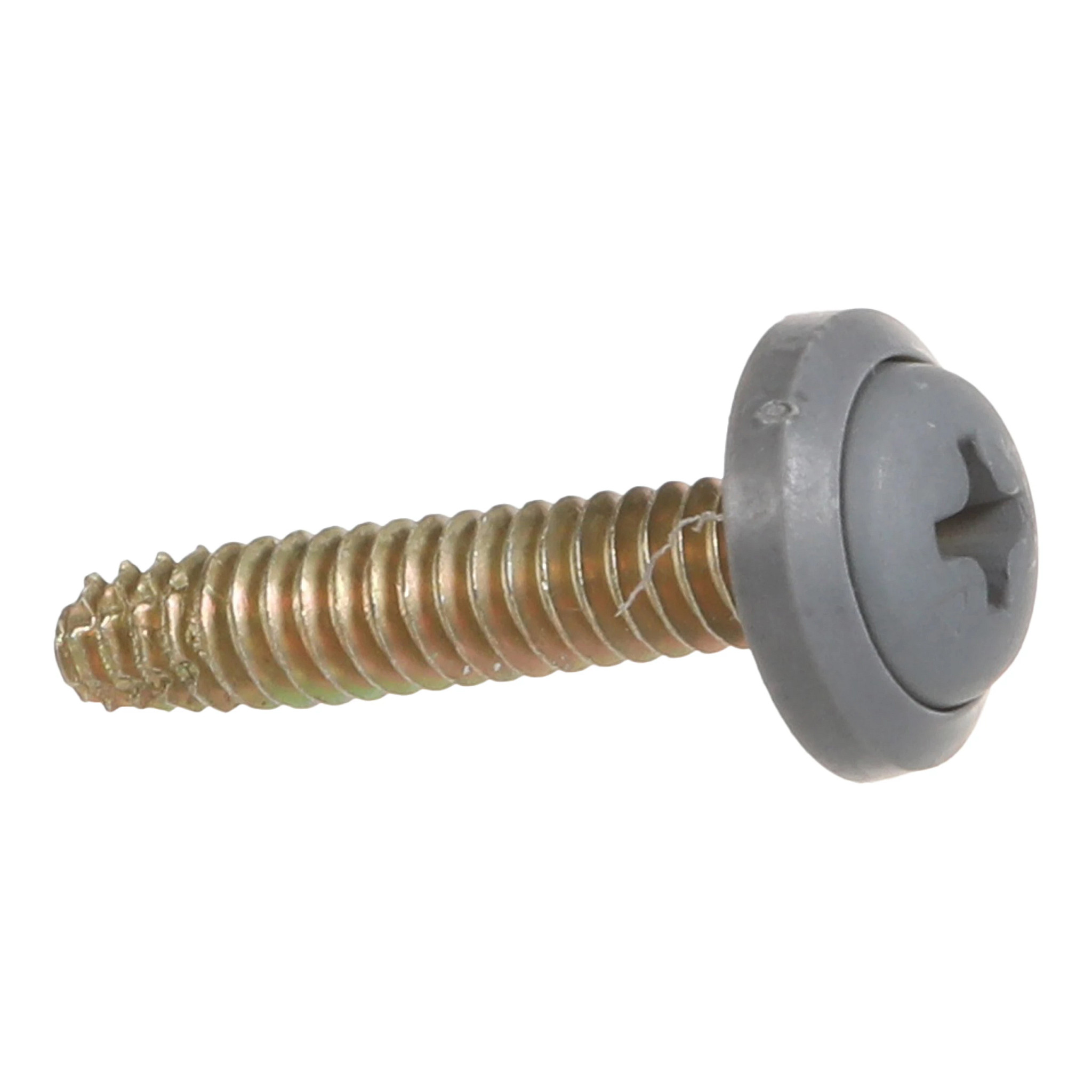 Self-tap Screw | CASECE | CA | EN