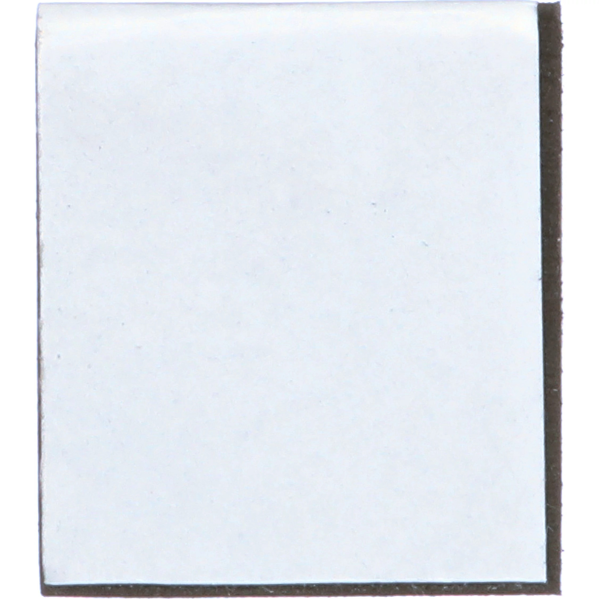 FOAM | MILLER | US | EN