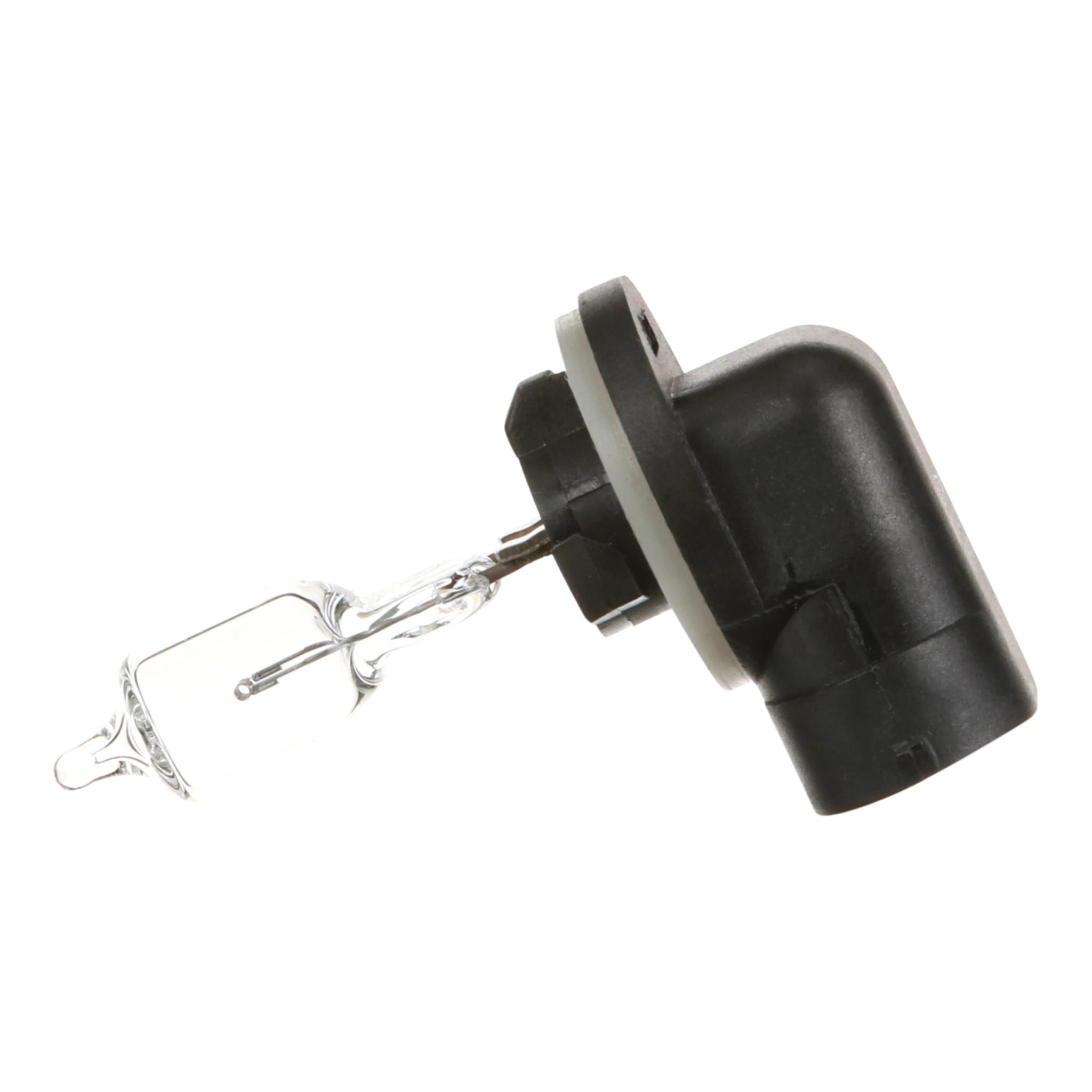 LAMPADINA | DEFAULT | IT | IT