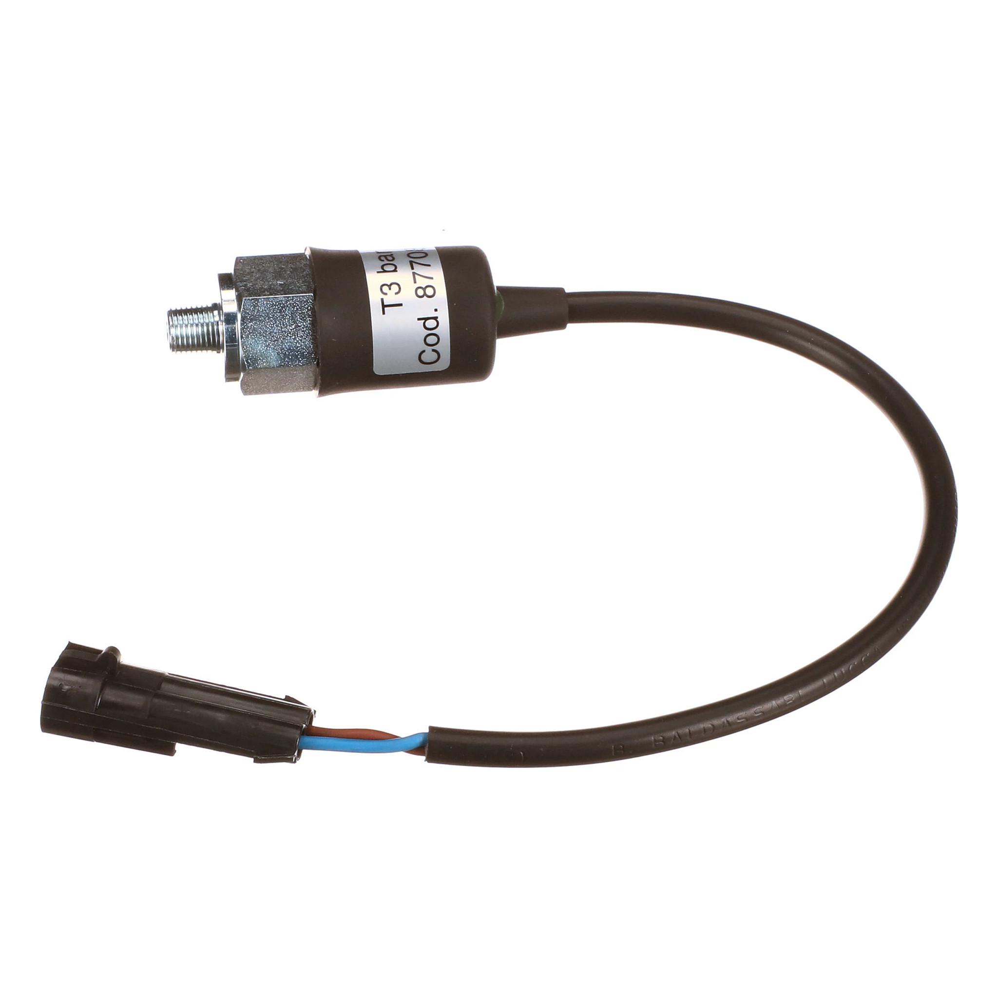 SWITCH | CASECE | US | EN