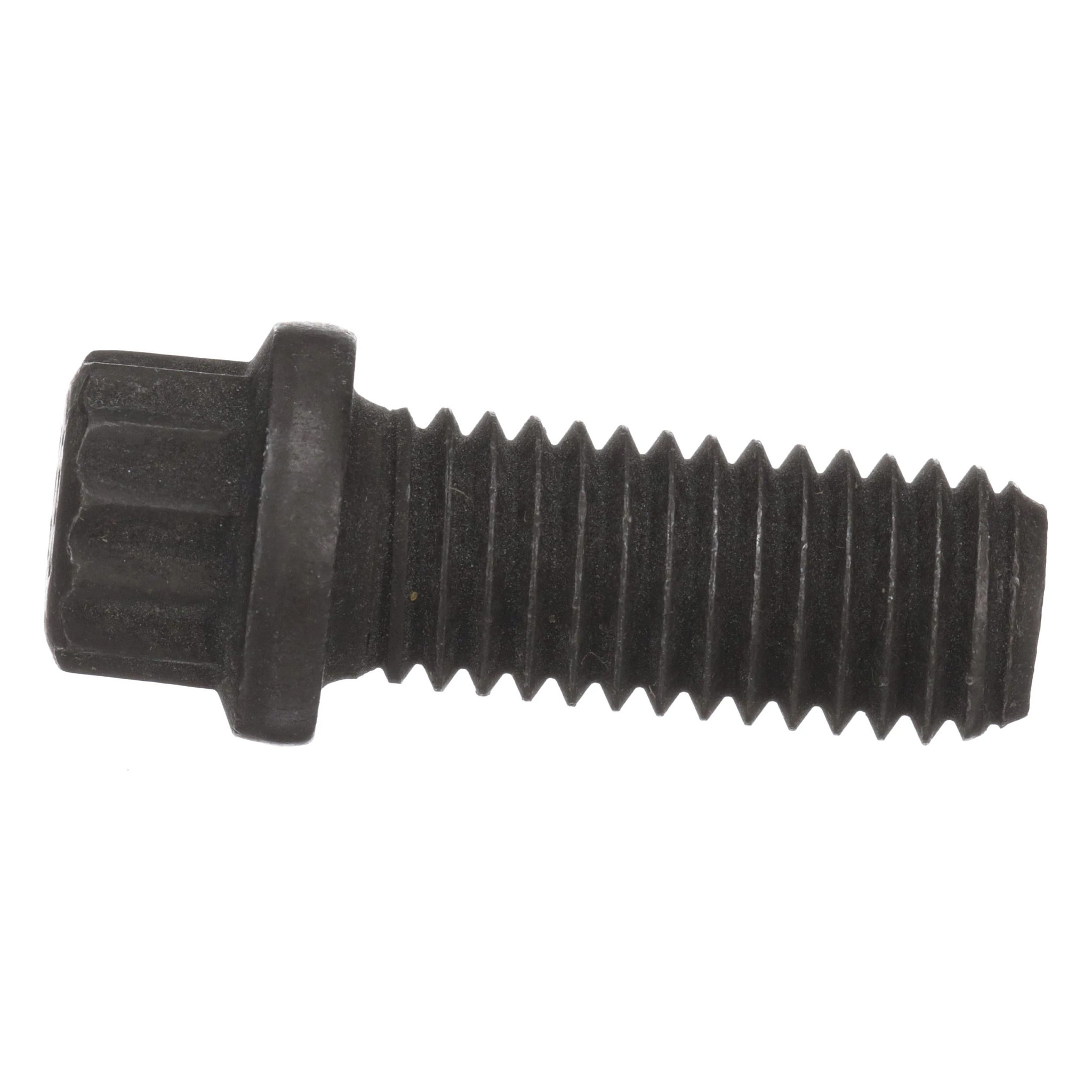 12 PT SCREW | NEWHOLLANDCE | EU | ES