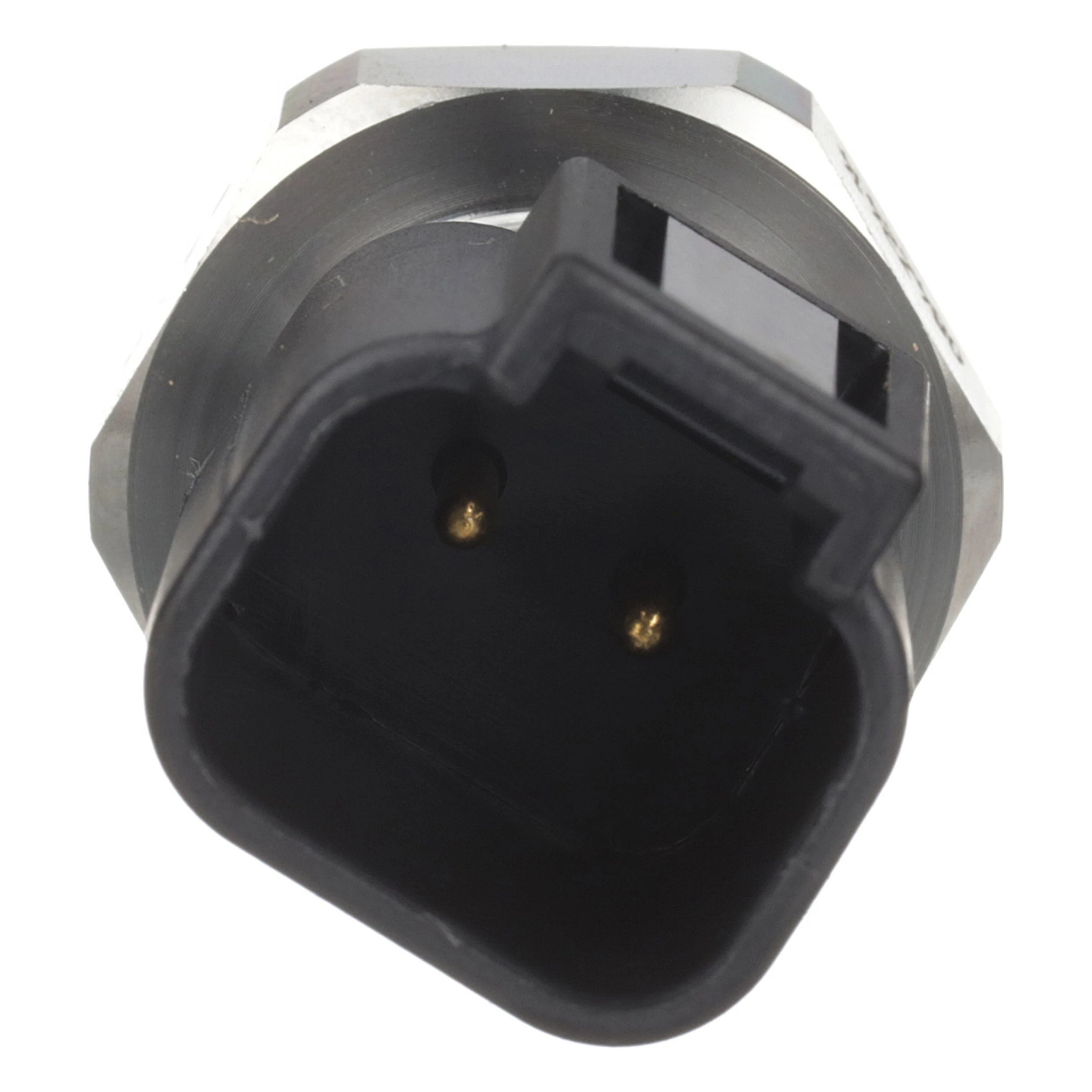 TERMOSONDA | CASECE | EU | PT