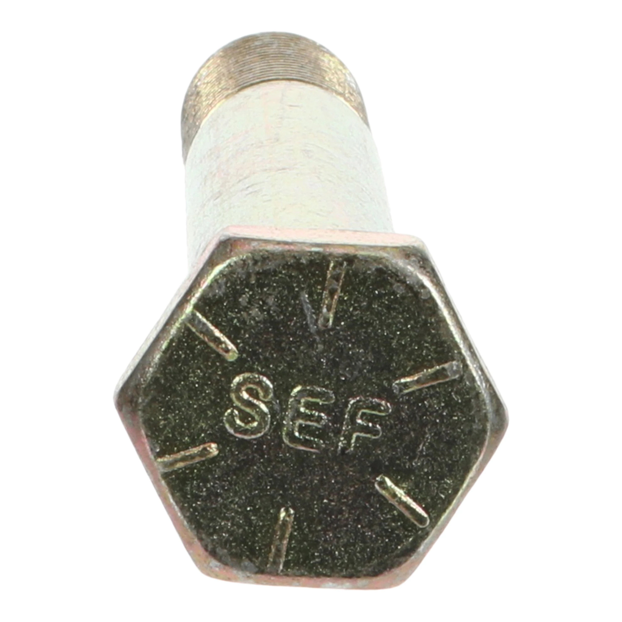 BOLT | STEYR | SA | EN