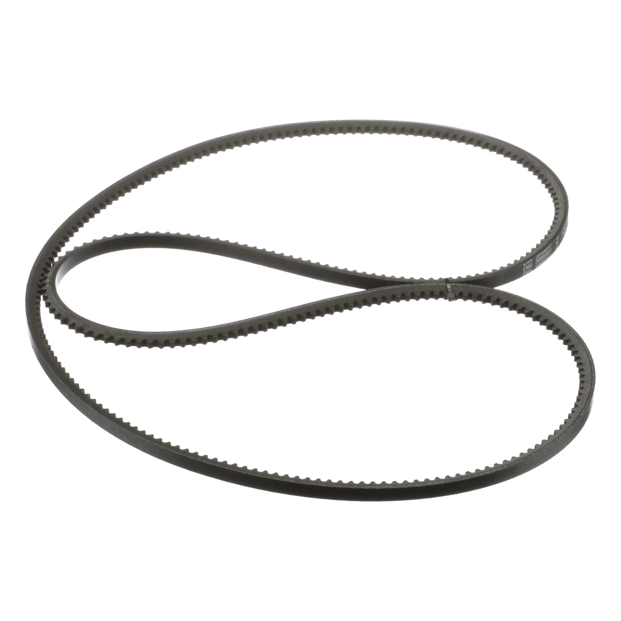 BELT | CASECE | EU | FR