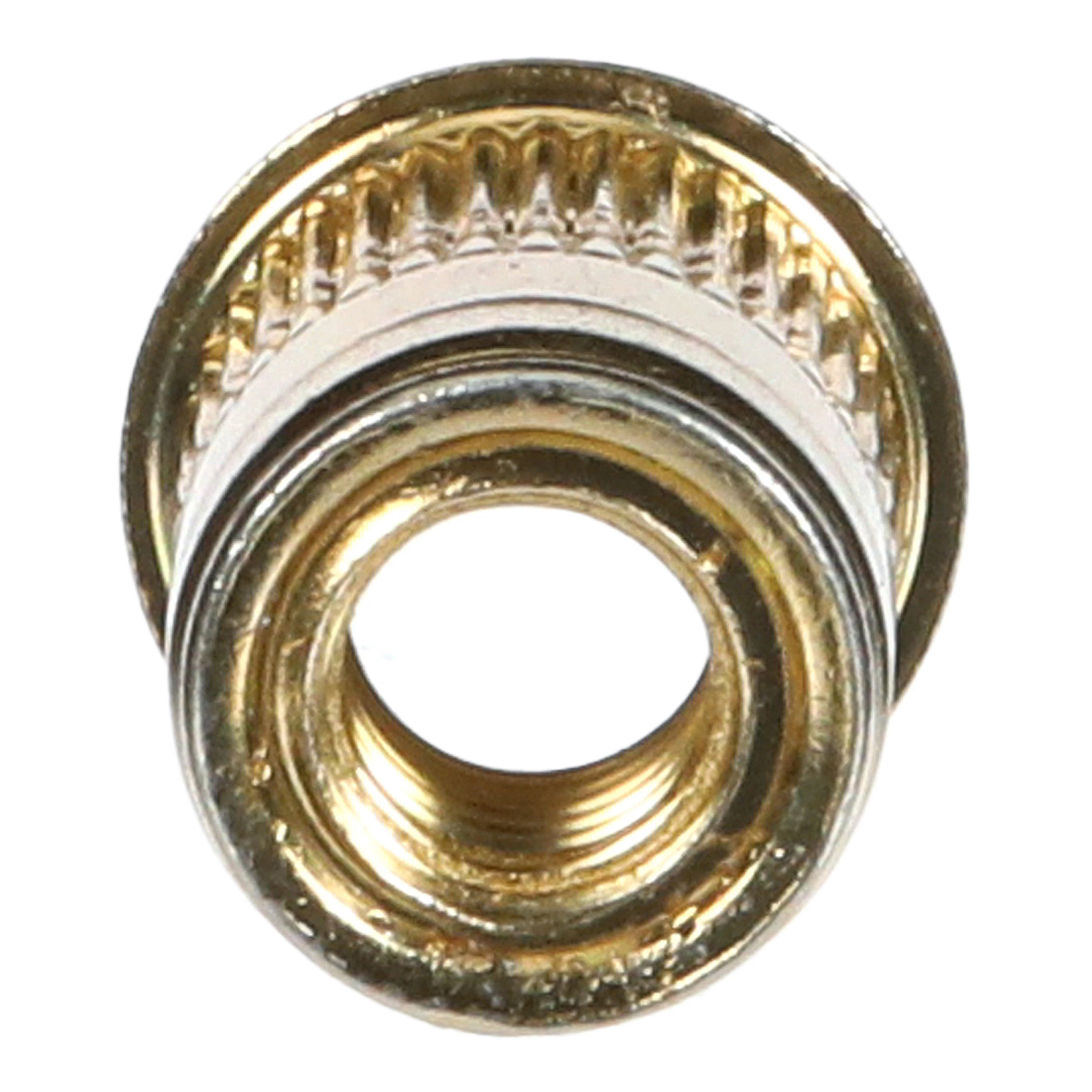 INSERT | CASECE | NZ | EN