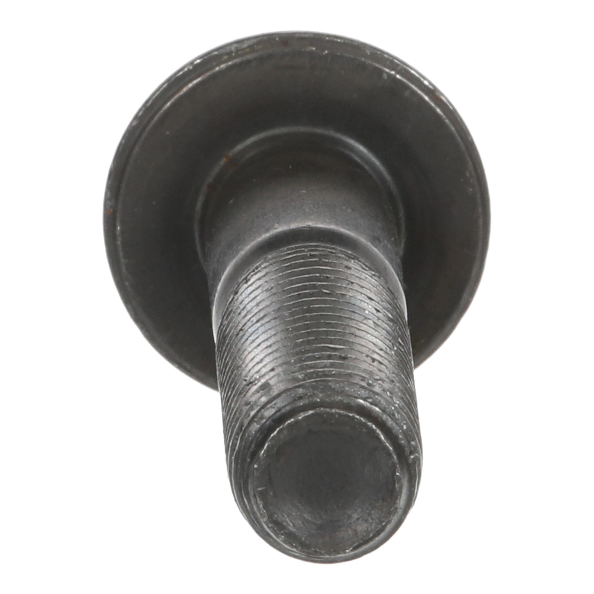 SCREW | CASECE | AMEA | EN