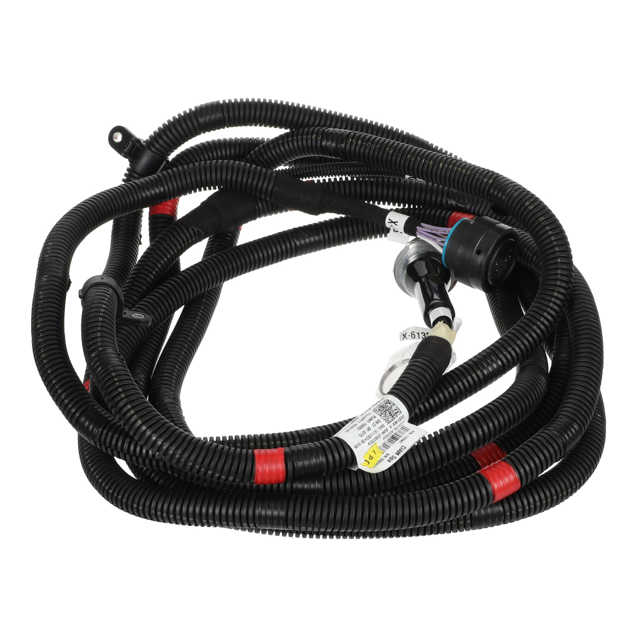 WIRE HARNESS | CASECE | AMEA | EN