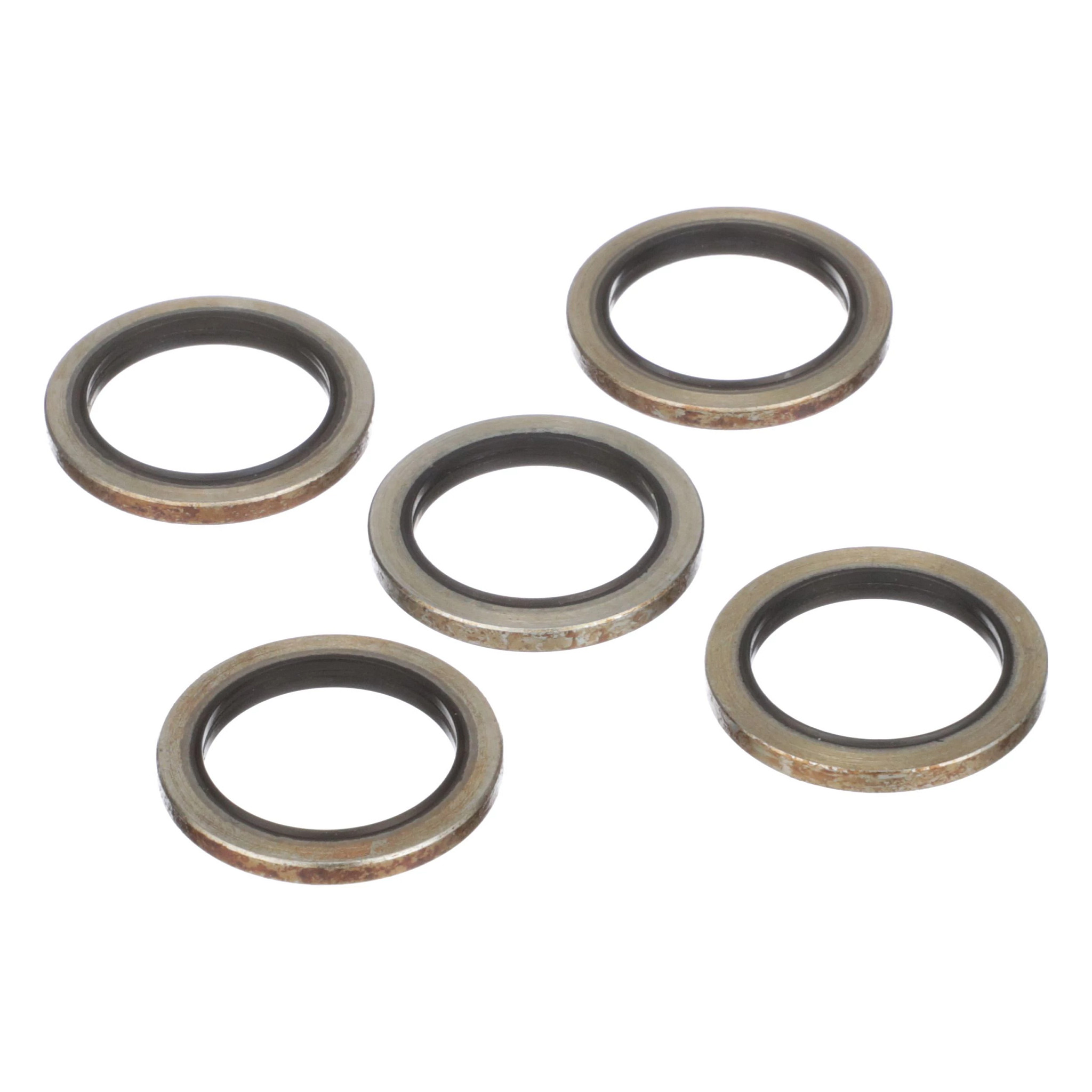 PARAOLIO | CASECE | EU | IT