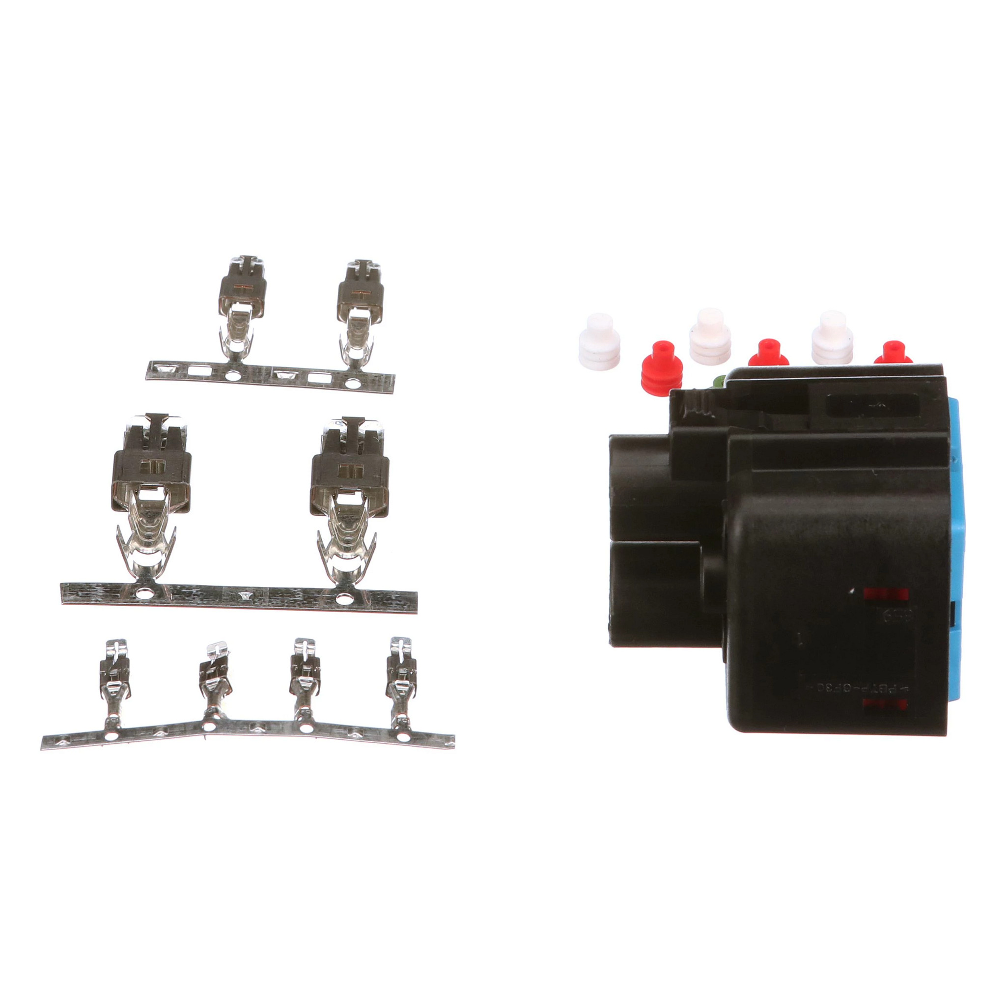 SOCKET | CASECE | CA | EN