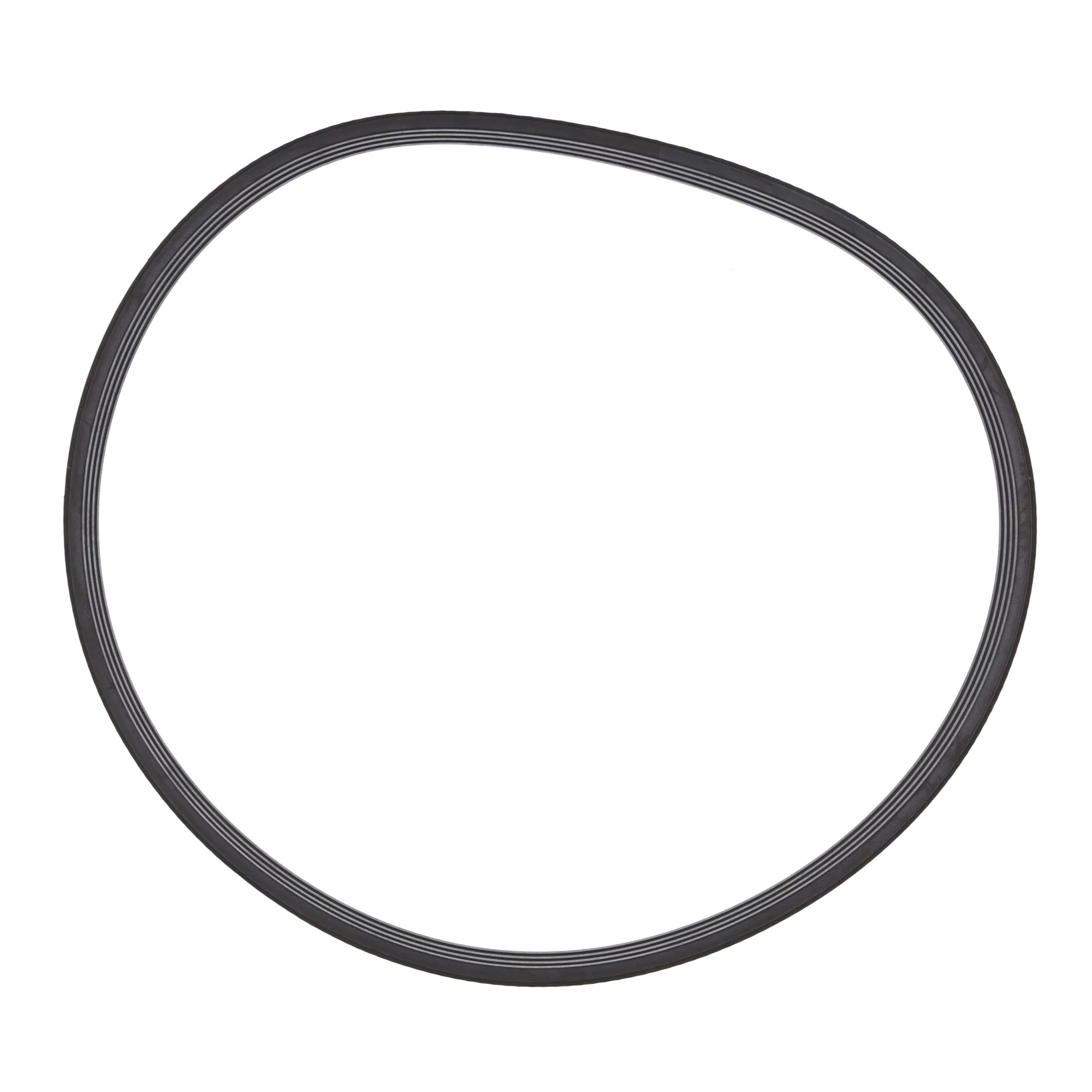 BELT | CASEIH | SA | EN