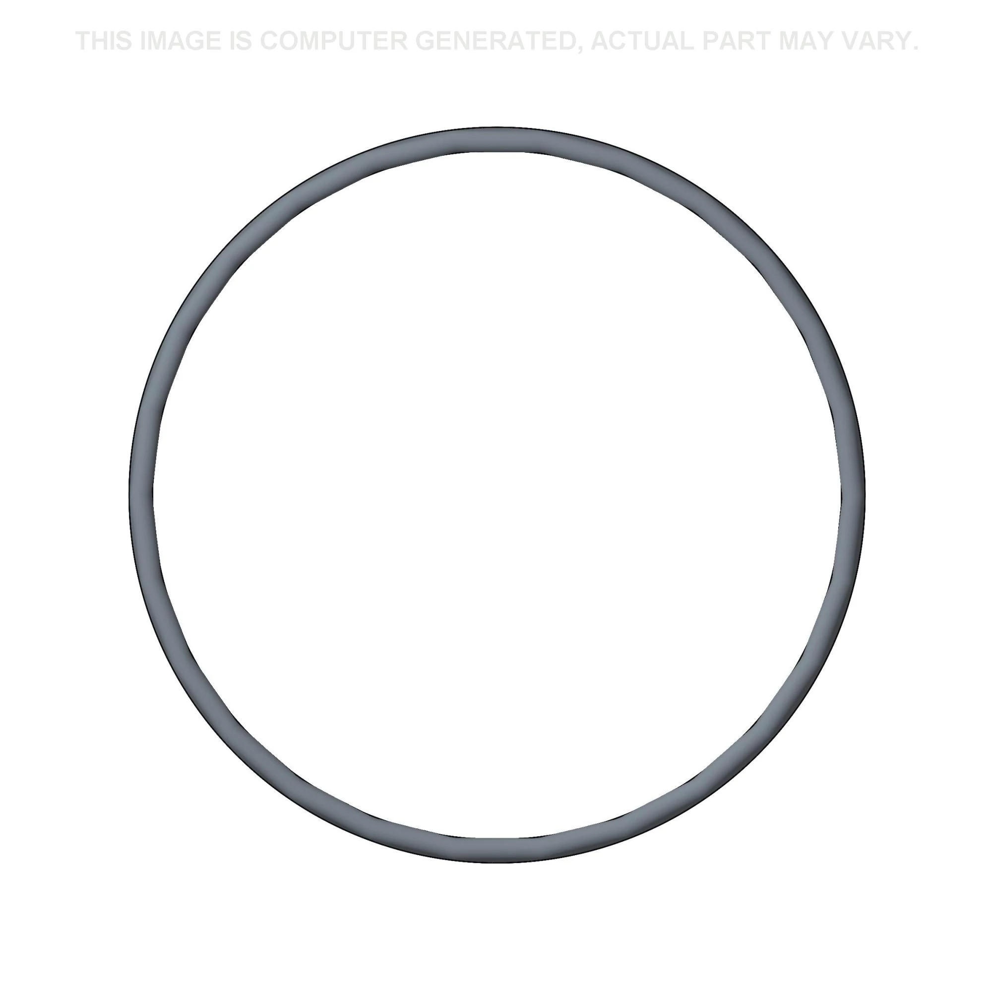 O-RING | CASEIH | AMEA | EN