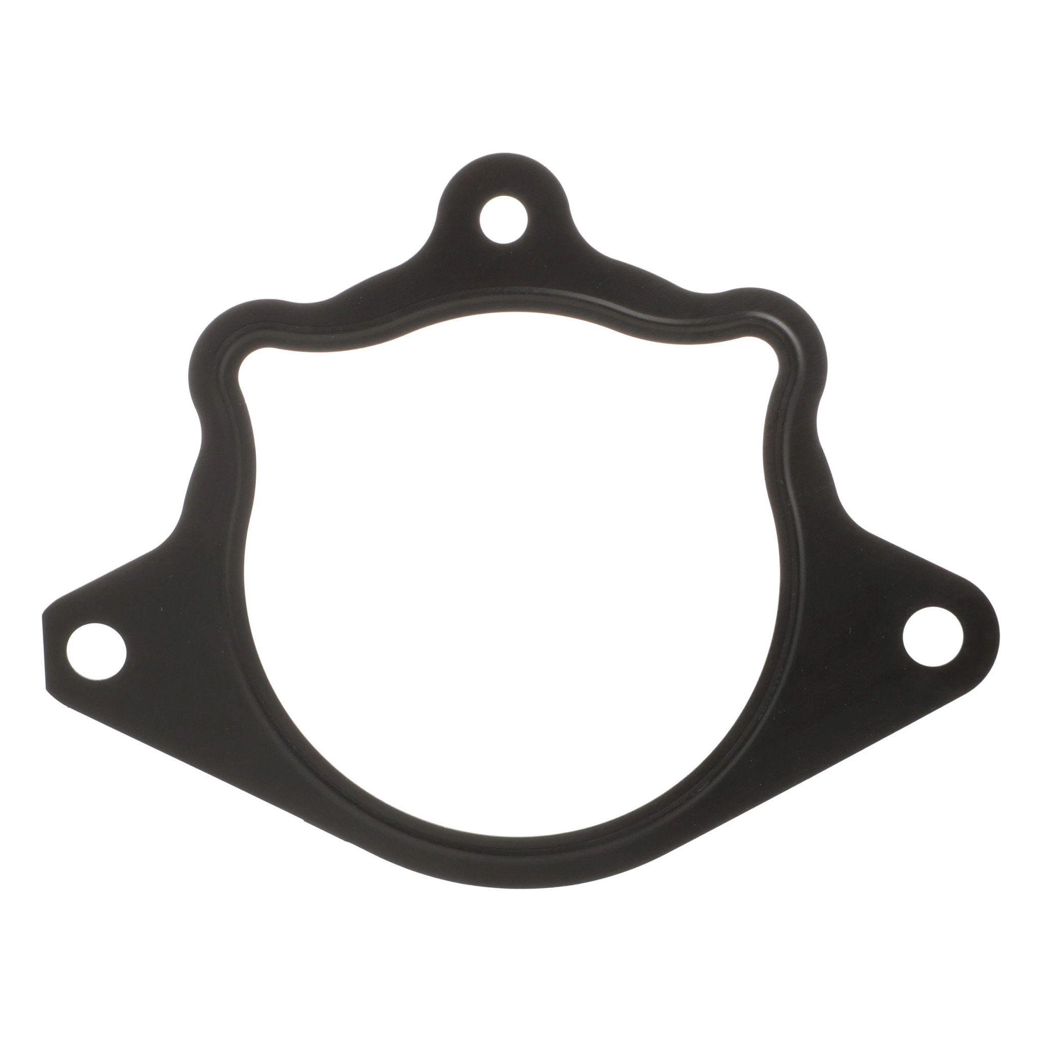 GASKET | CASEIH | US | EN