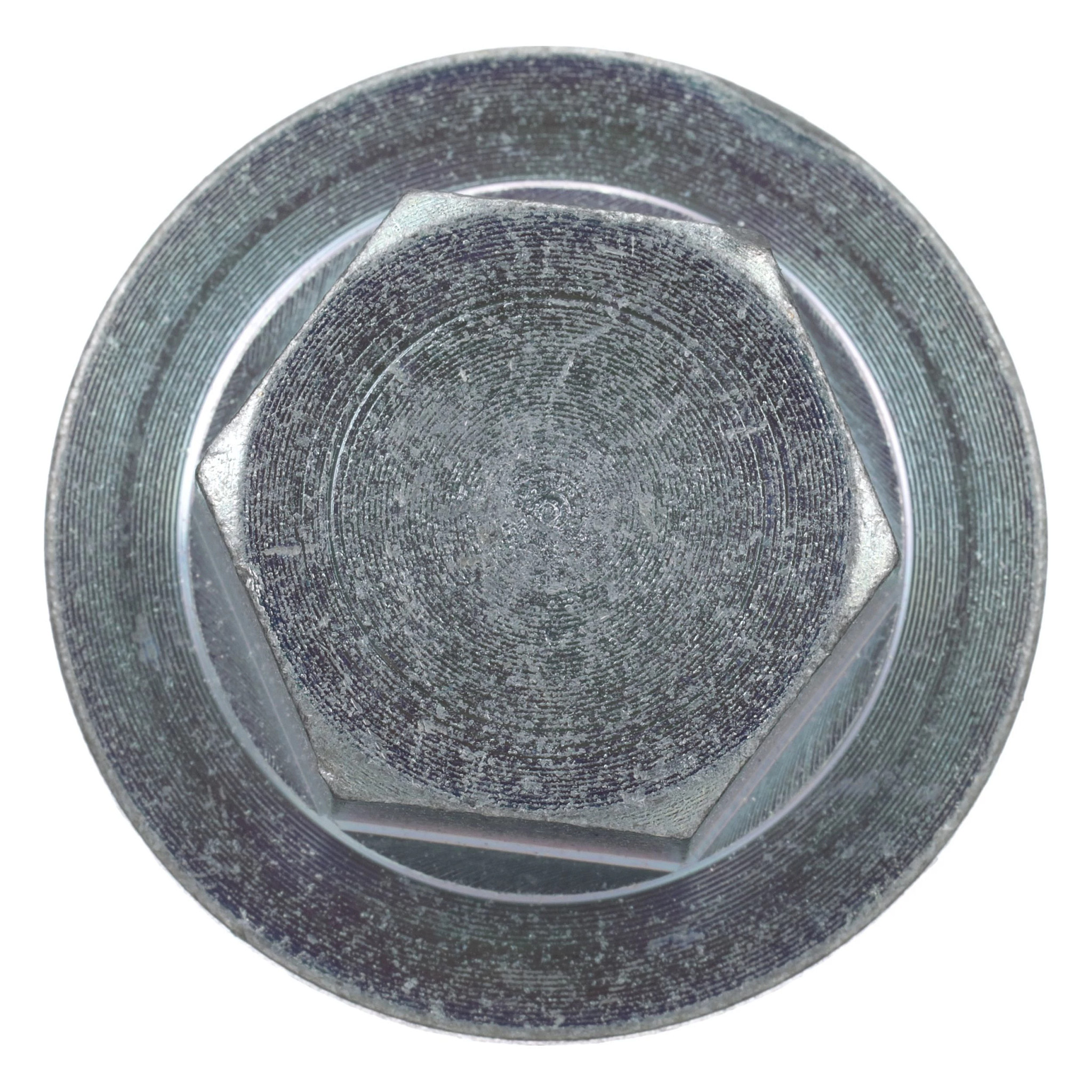 PLUG | CASECE | CA | EN