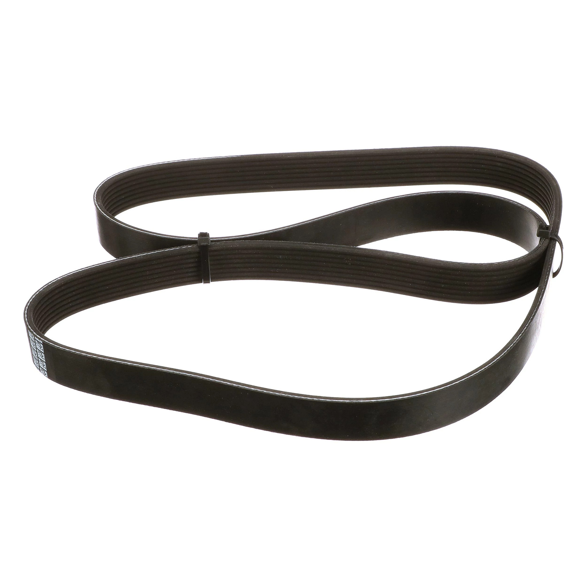 BELT | CASECE | US | EN