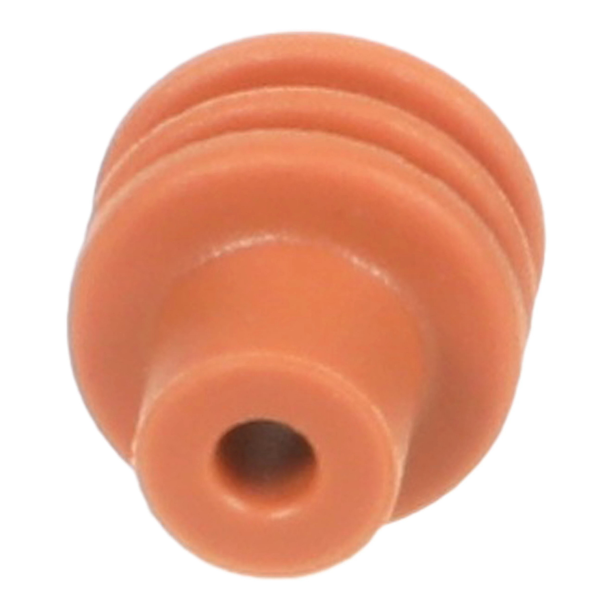 SEAL | CASECE | AMEA | EN