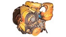 DEUTZ 2 CYL DIESEL ENGINE | NEWHOLLANDCE | BR | PT