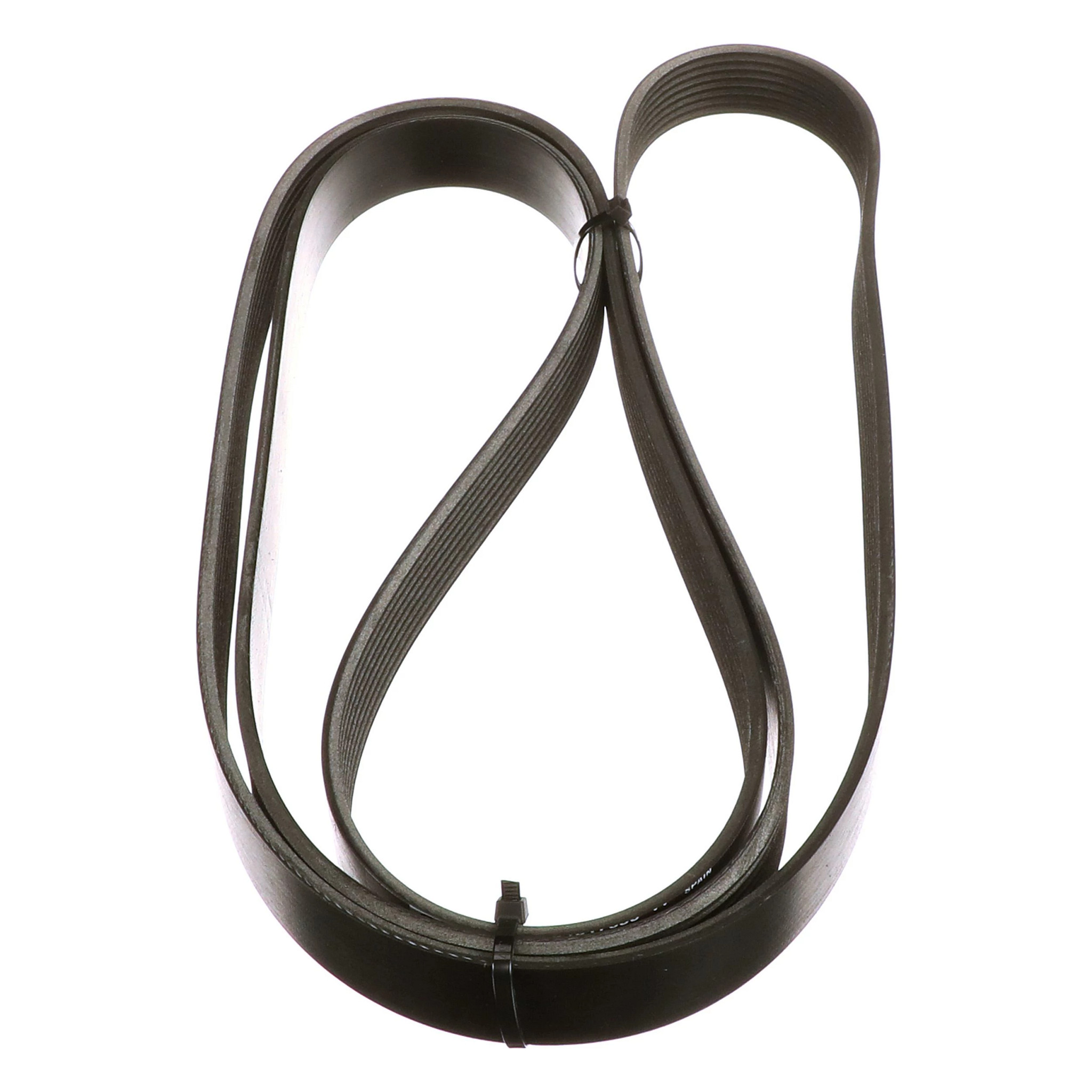 BELT | CASECE | US | EN