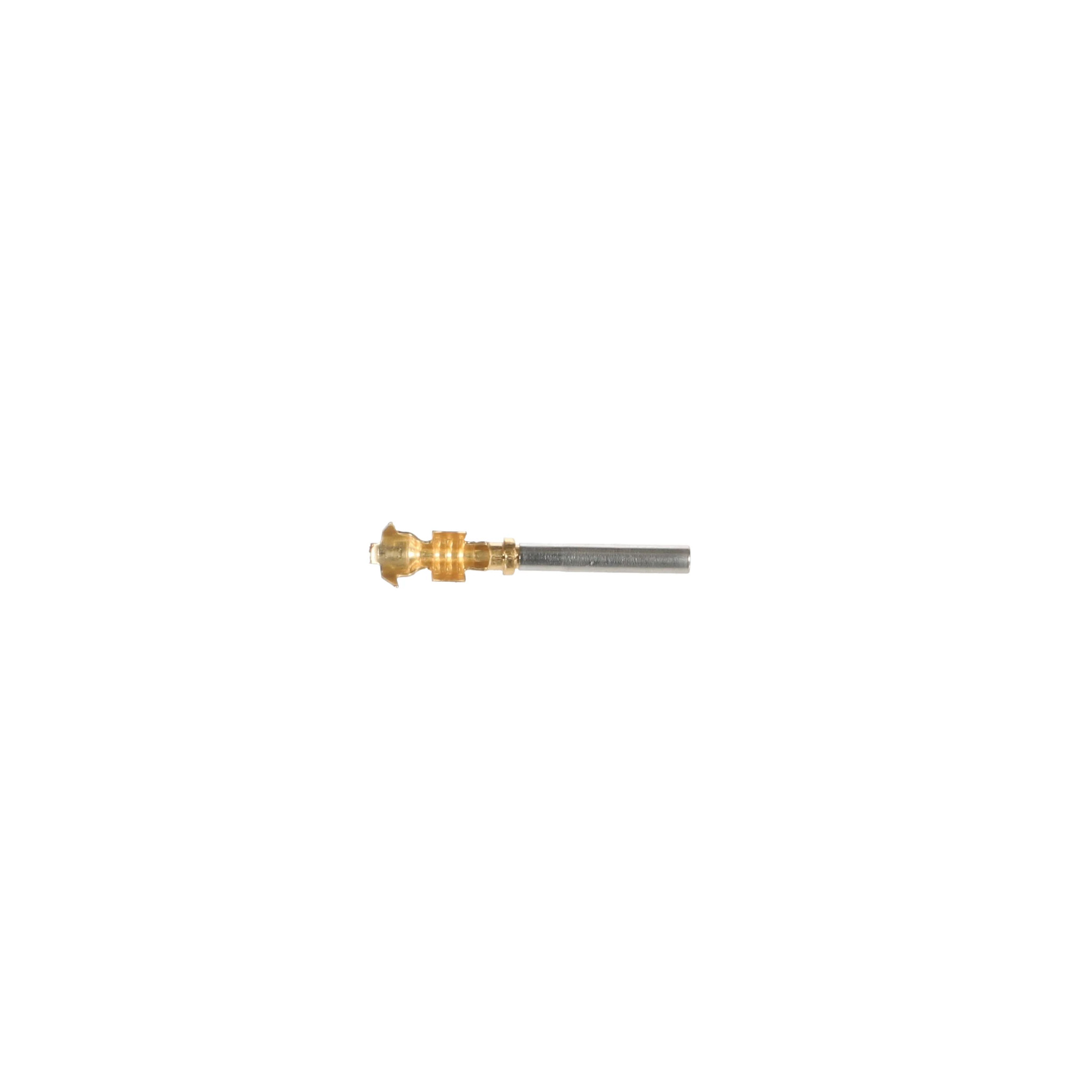 TERMINAL | CASECE | BR | PT