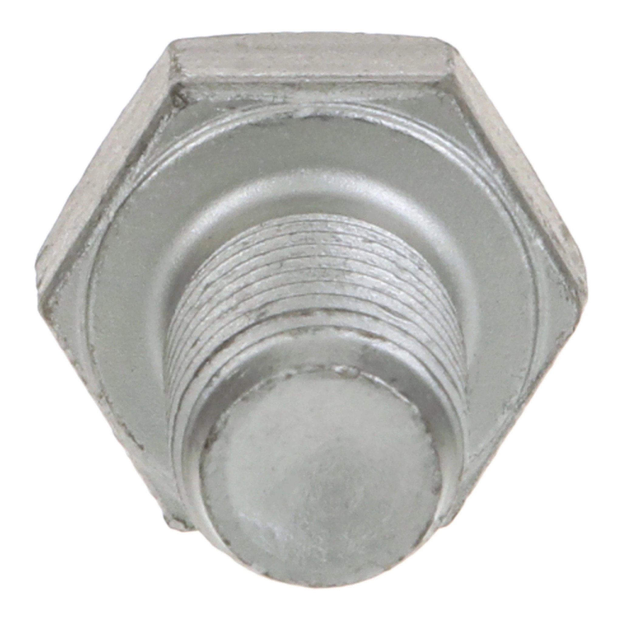 BOLT | CASECE | CA | EN