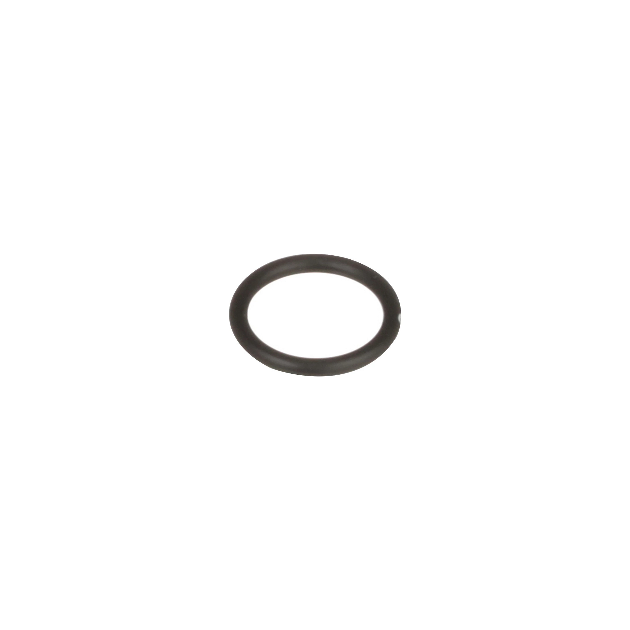 ANELLO TOROIDALE | CASEIH | EU | FR