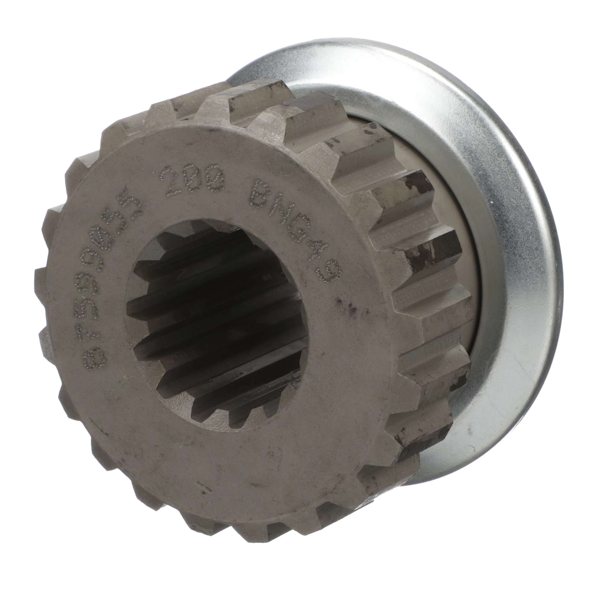 PINHAO TRANSPORTADOR | CASECE | BR | PT