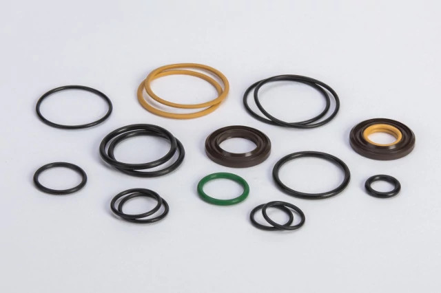 SEAL KIT | CASECE | AMEA | EN