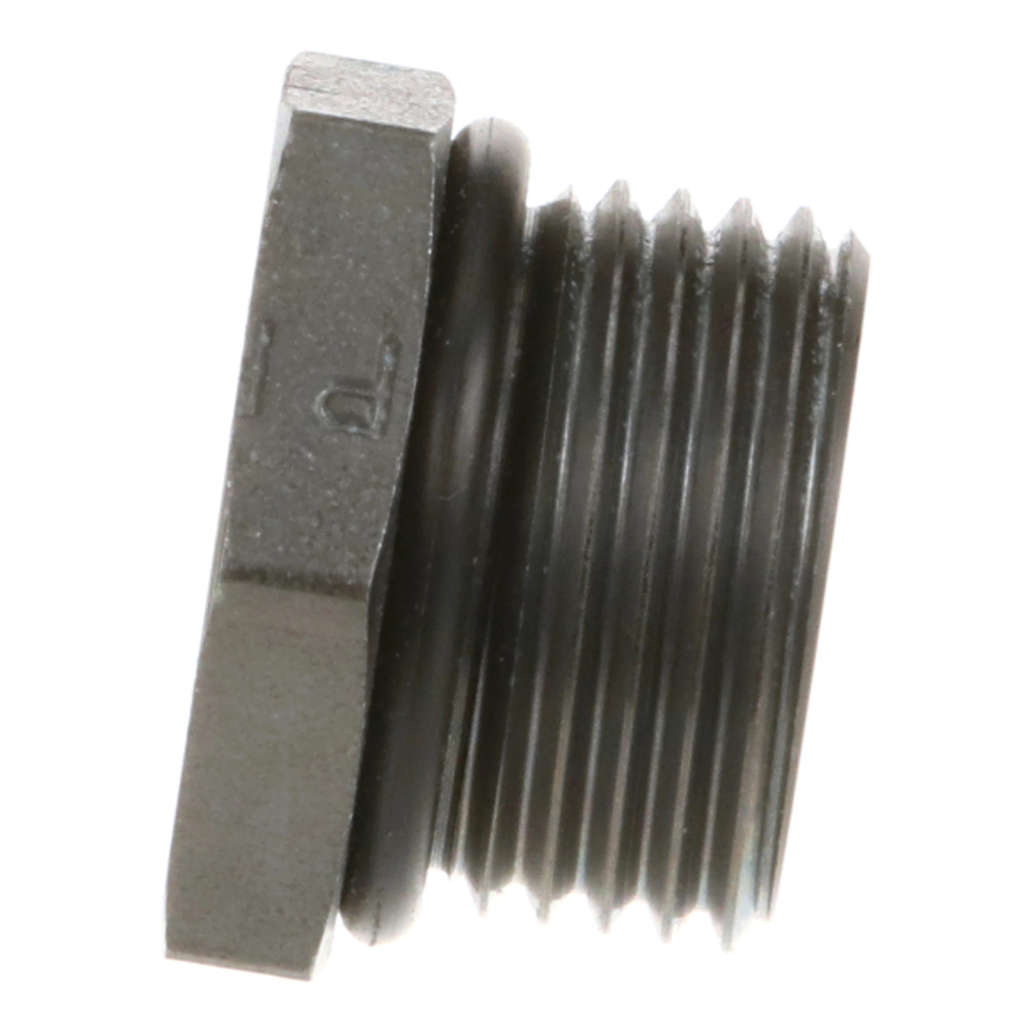 PLUG | CASECE | CA | EN