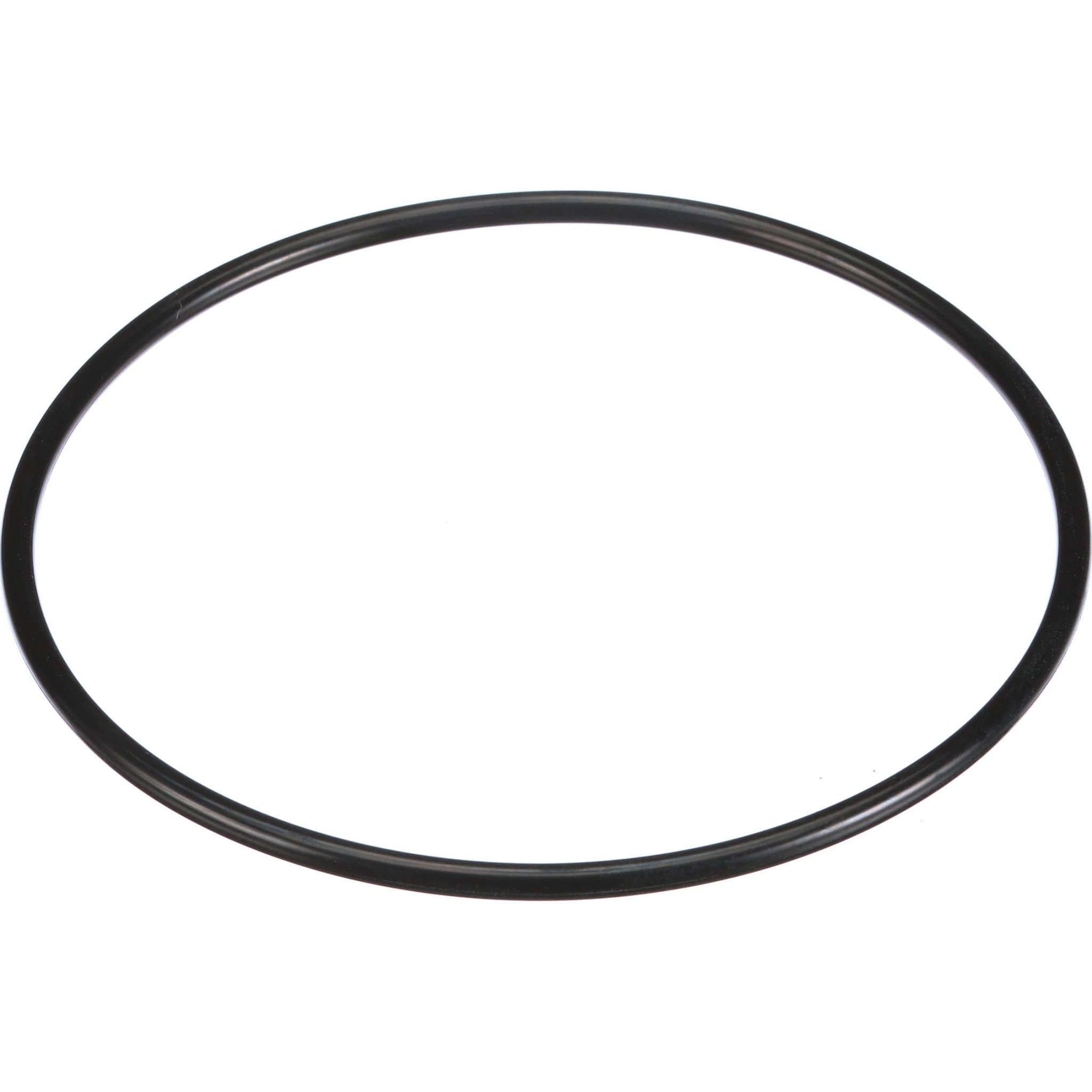 O-RING | CASEIH | US | EN