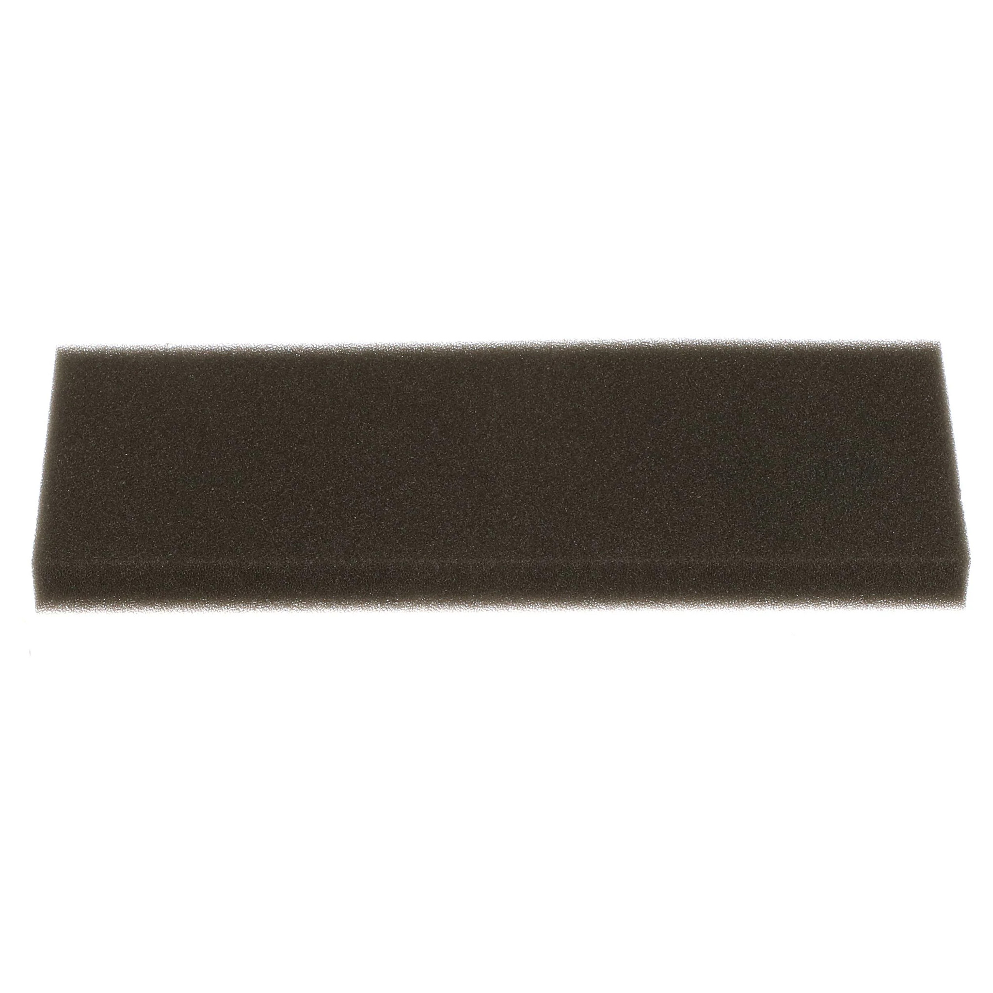 AIR FILTER | CASEIH | IE | EN