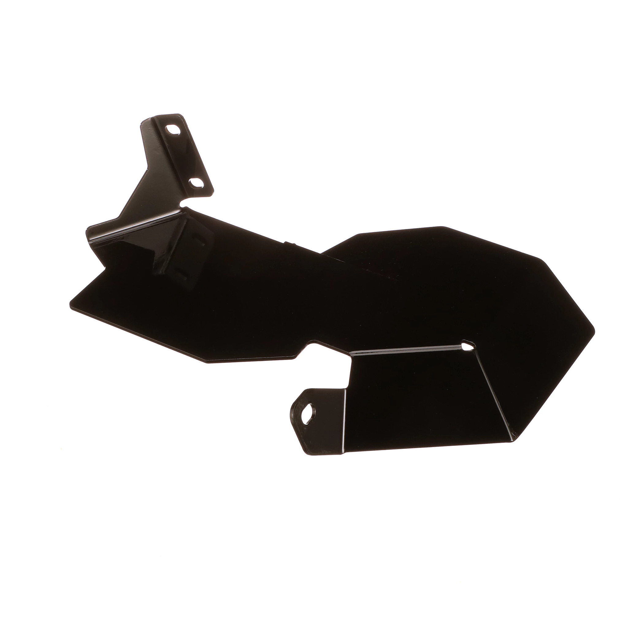 PLACA DE PROTECÇÃO | CASEIH | BR | PT