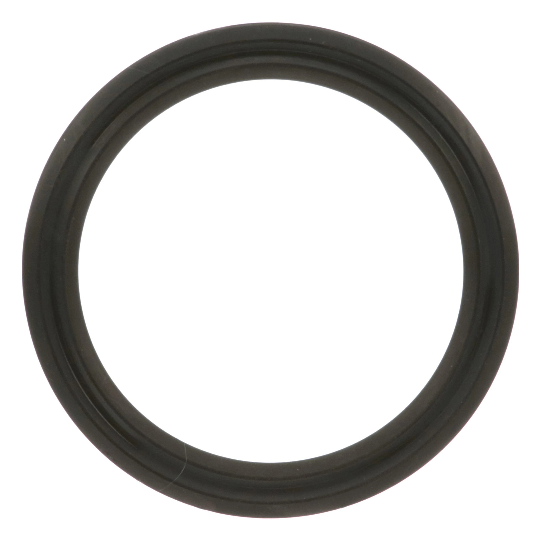 SEAL | CASECE | AMEA | EN