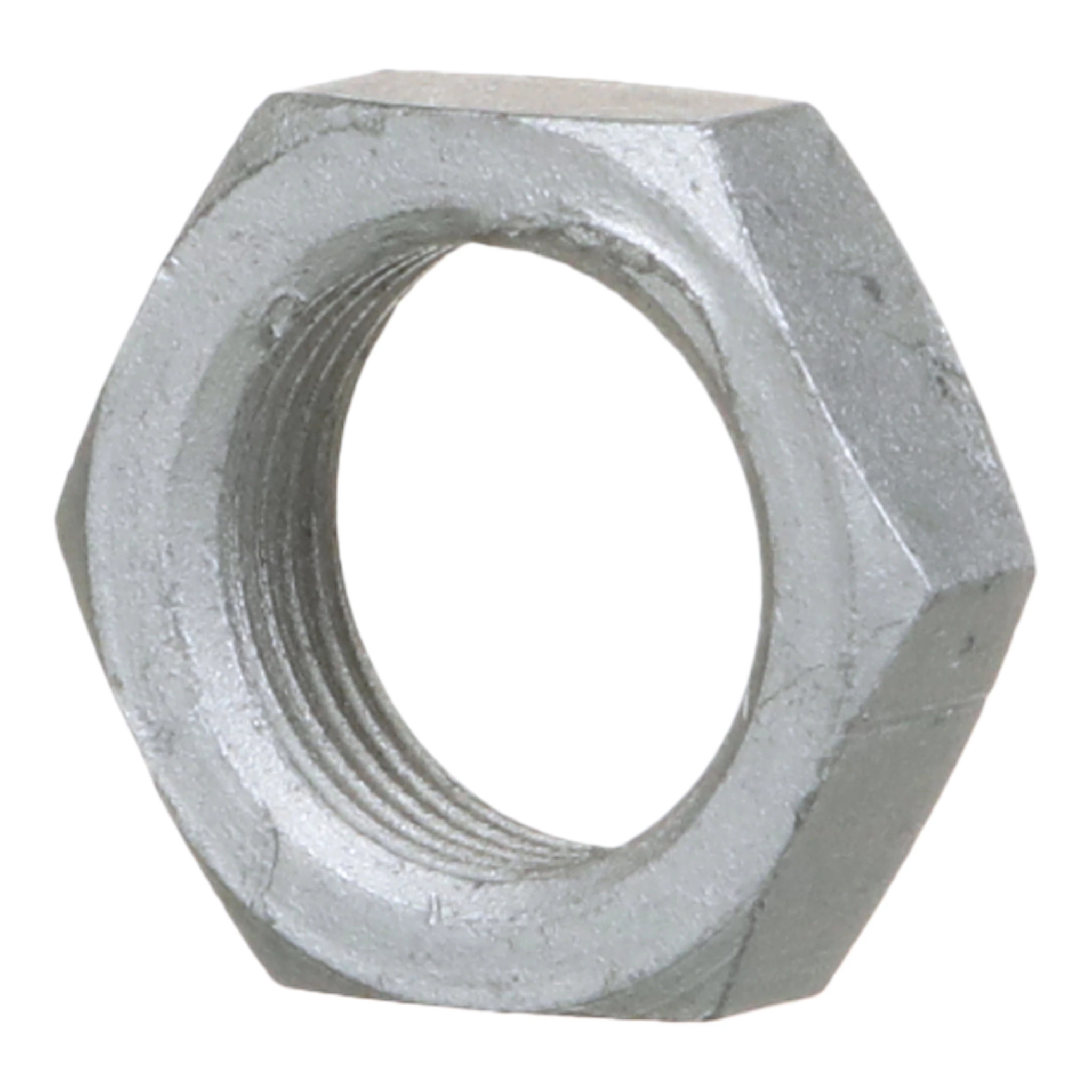 THIN NUT | CASECE | US | EN