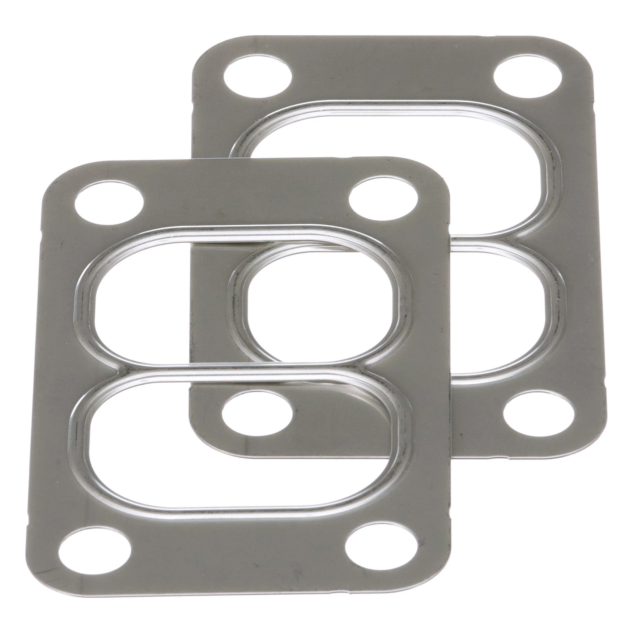 GASKET | CASECE | EU | EN
