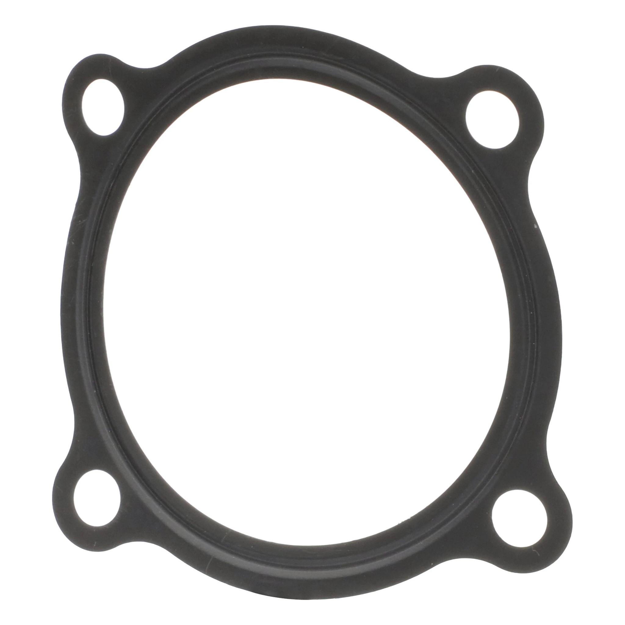 GUARNIZIONE | NEWHOLLANDAG | IT | IT