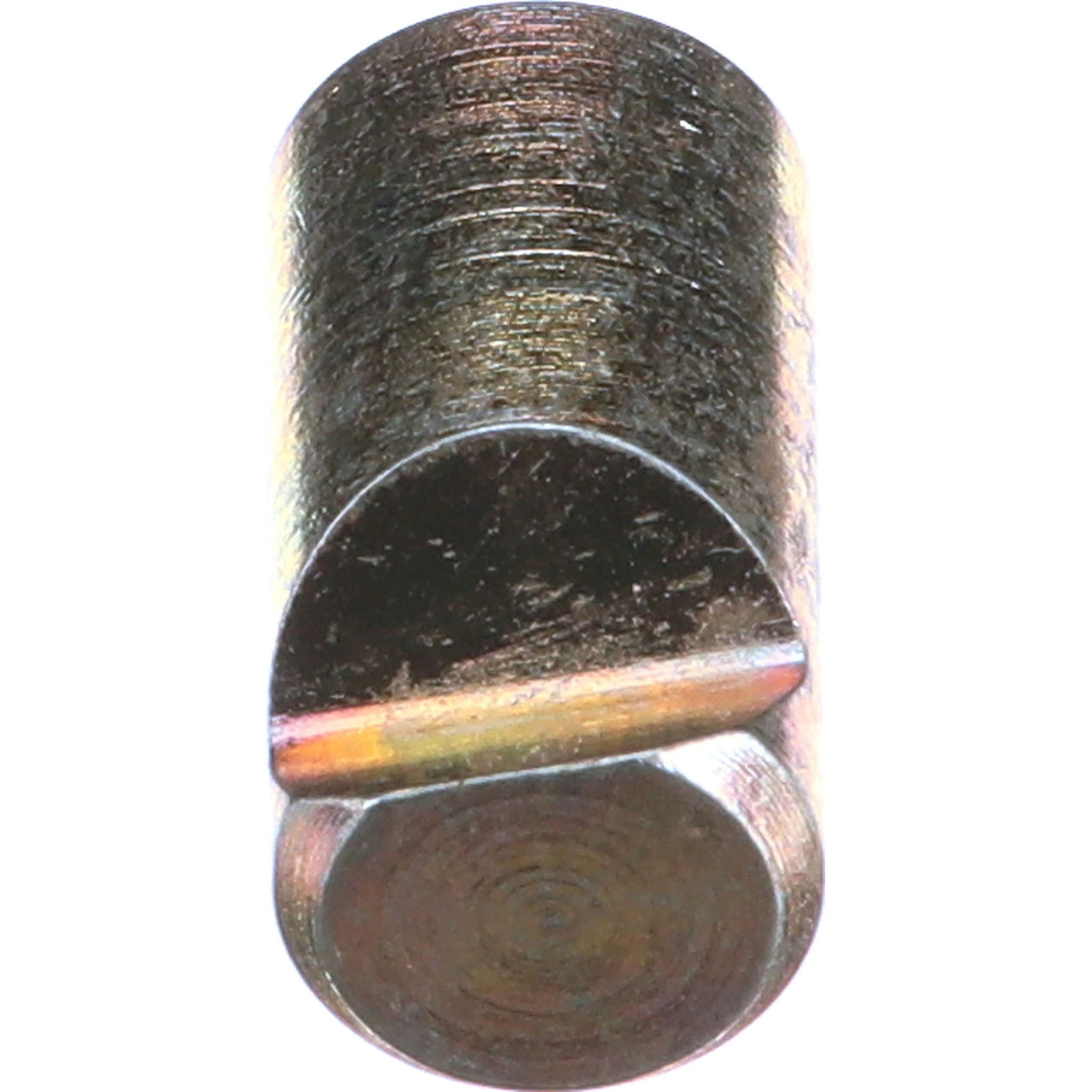 PAWL | CASECE | CA | EN