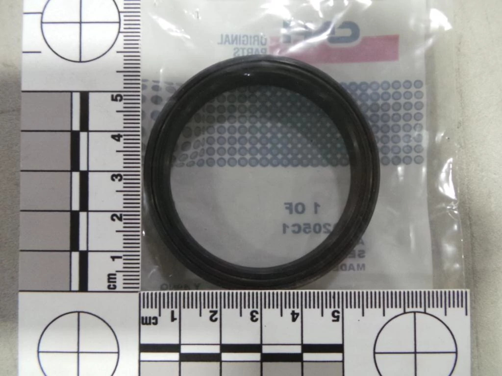 DICHTUNG | CASEIH | EU | PL