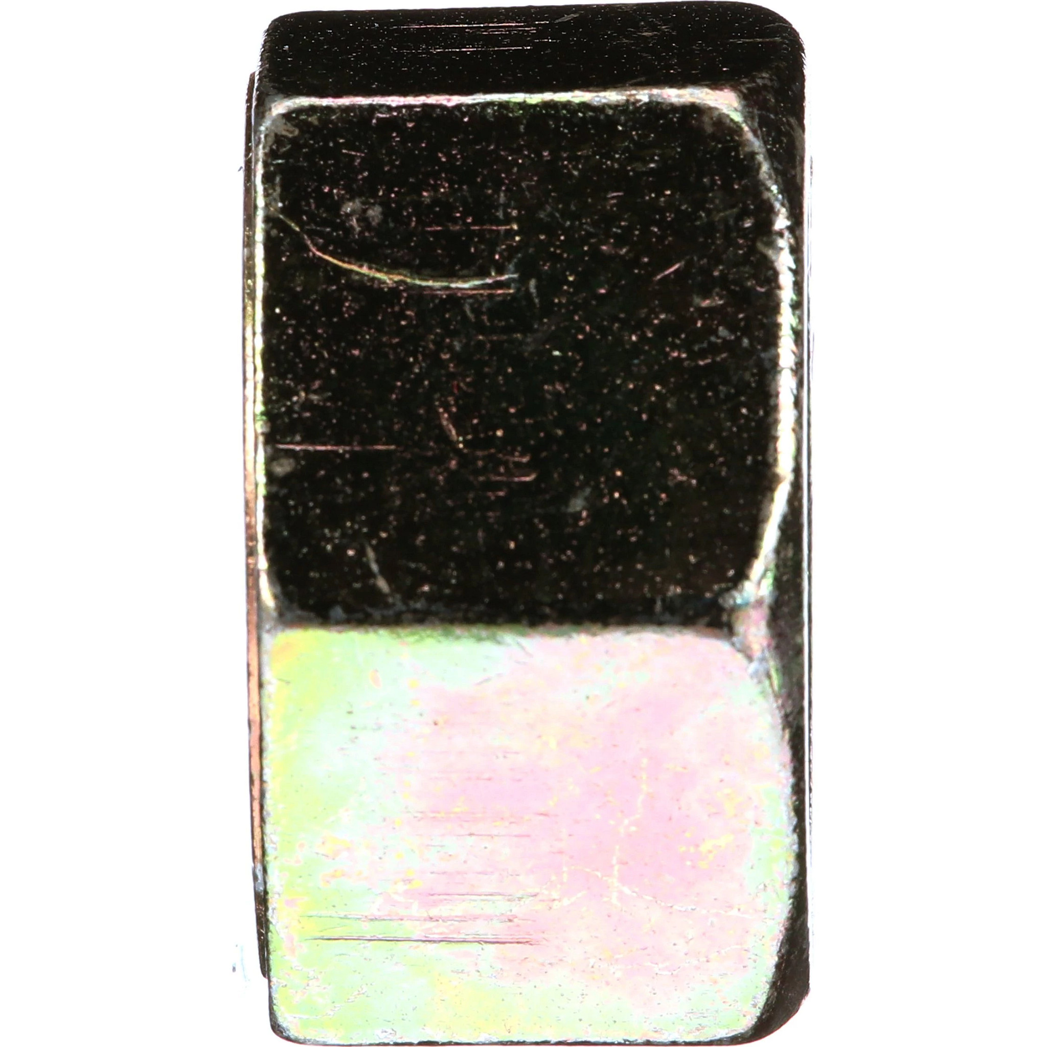 PORCA | CASECE | EU | PT