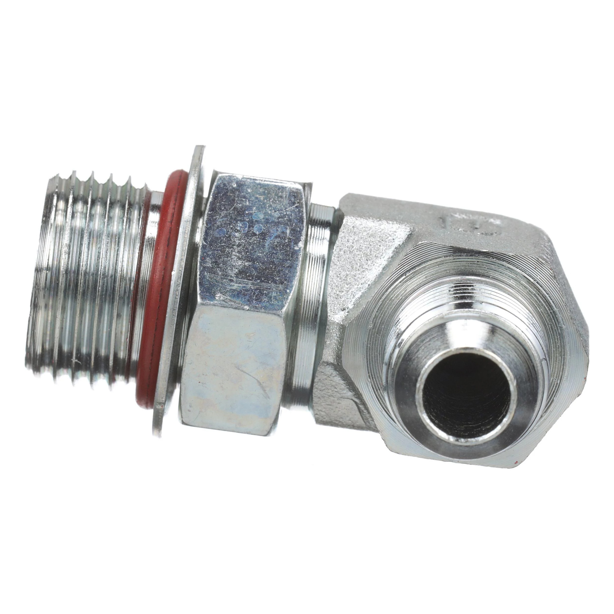 GOMITO | CASECE | EU | IT