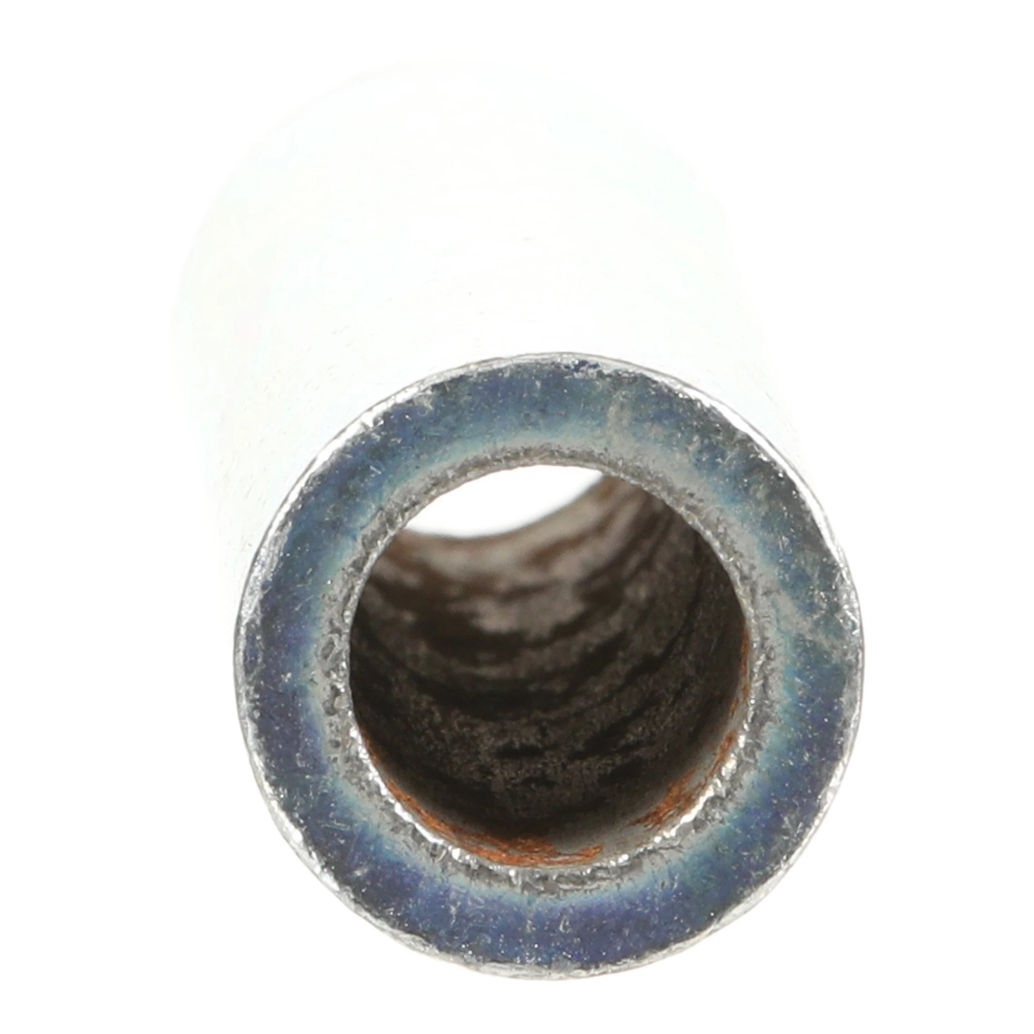 MANGUITO | CASECE | EU | EN