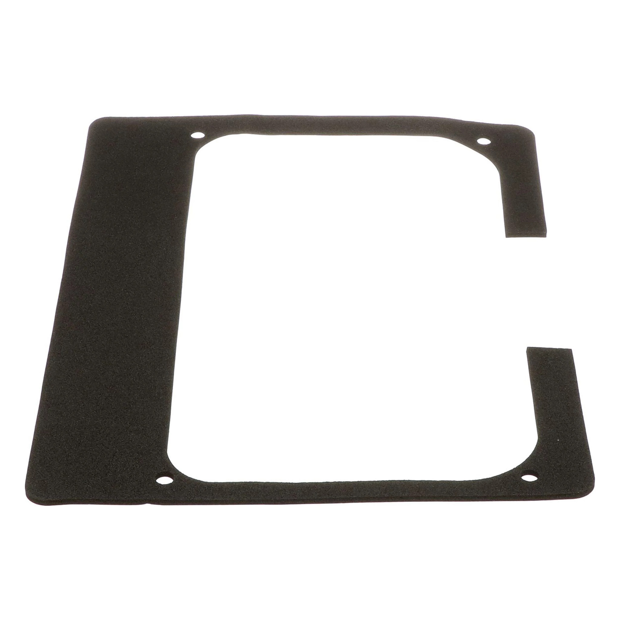 FOAM | CASECE | US | EN