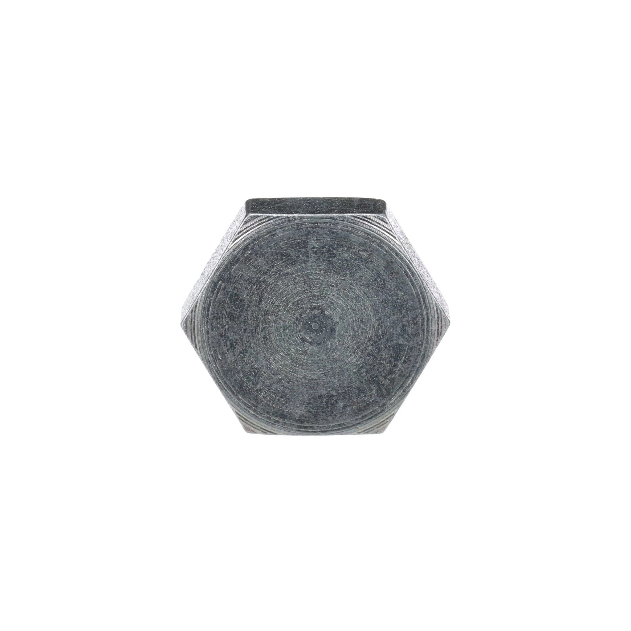 HEX PLUG | CASECE | SA | EN