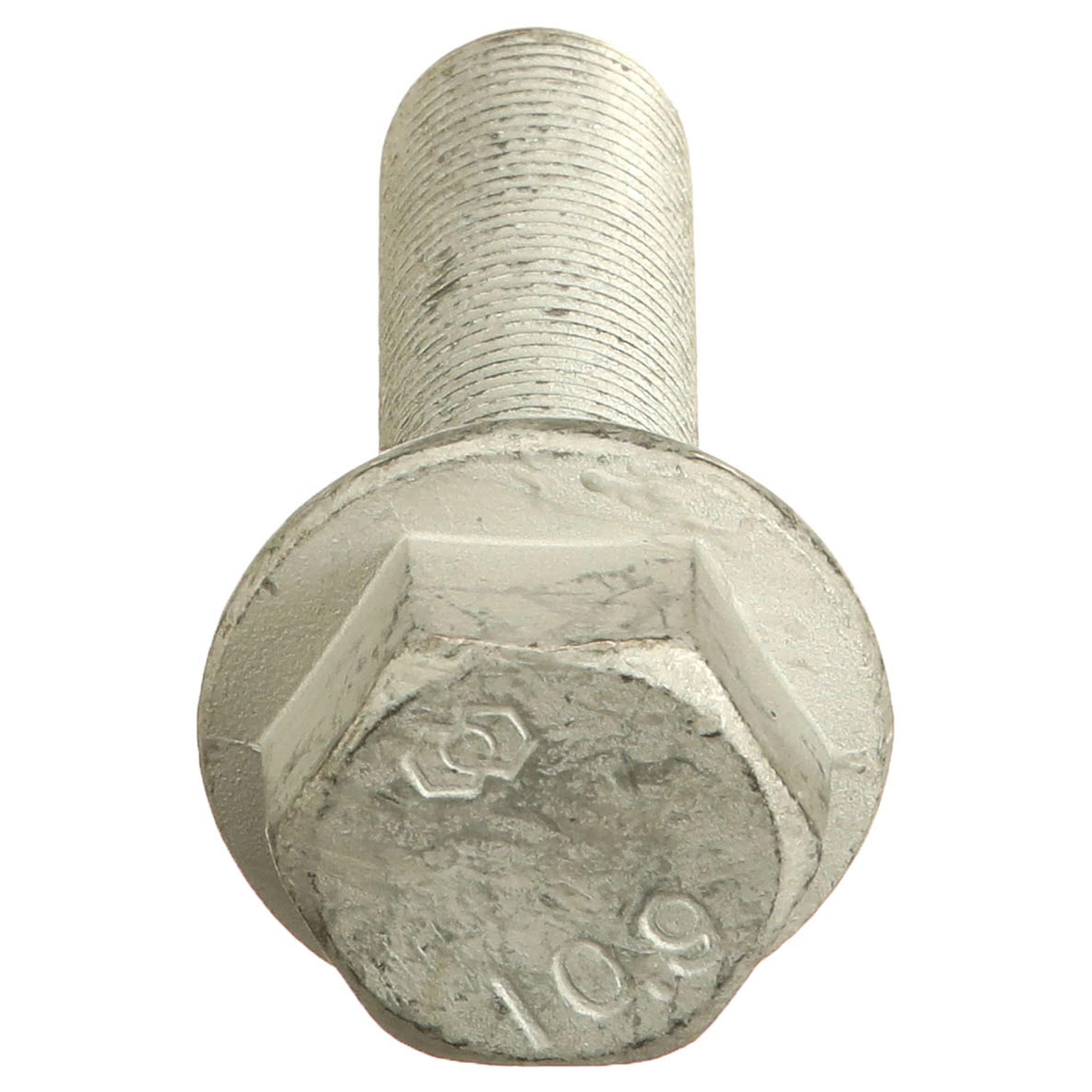 FLANGE BOLT | CASECE | EU | NL