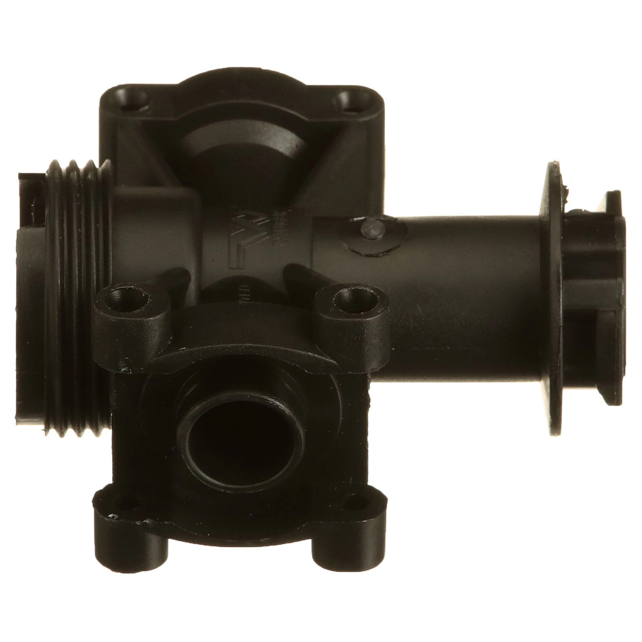 BODY | CASECE | US | EN