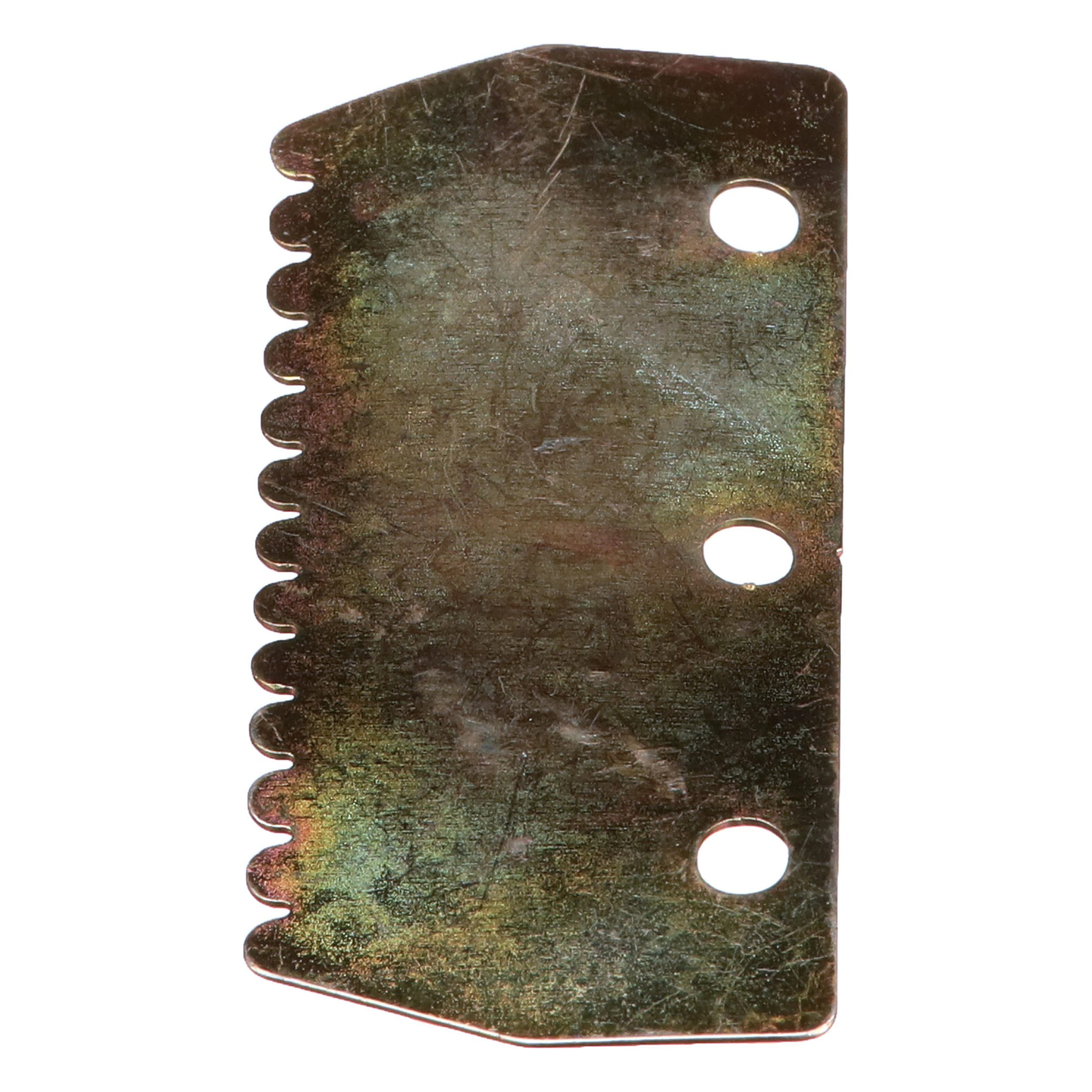 STRIP | CASECE | AMEA | EN