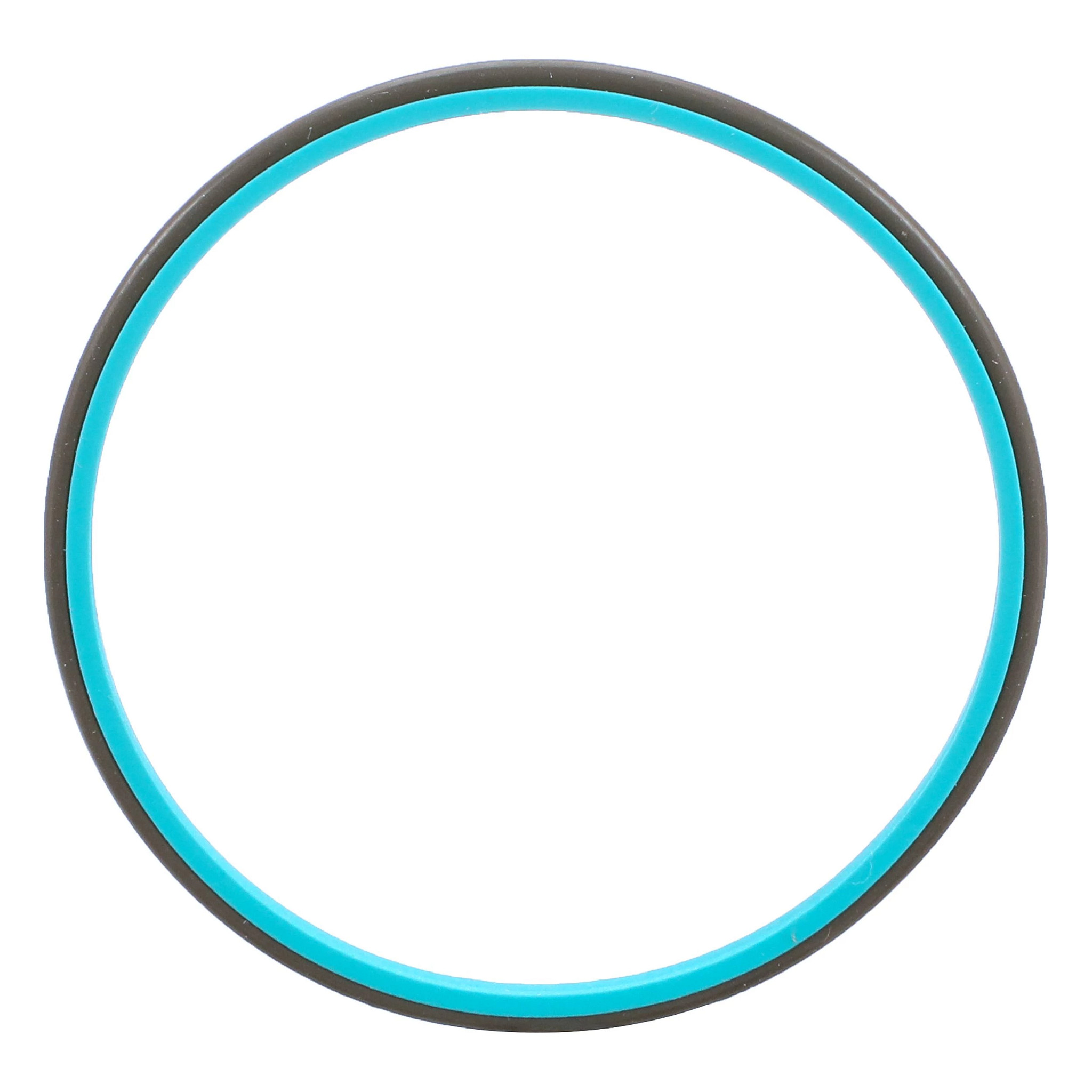 SEALING RING | NEWHOLLANDAG | NZ | EN