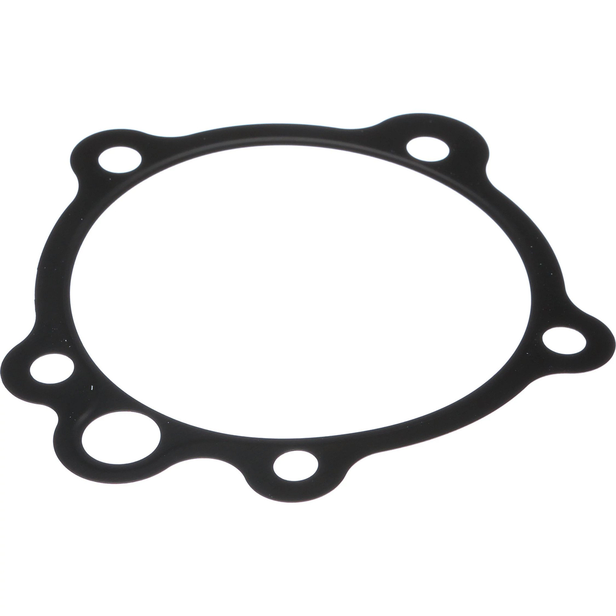 JUNTA | CASEIH | SA | ES