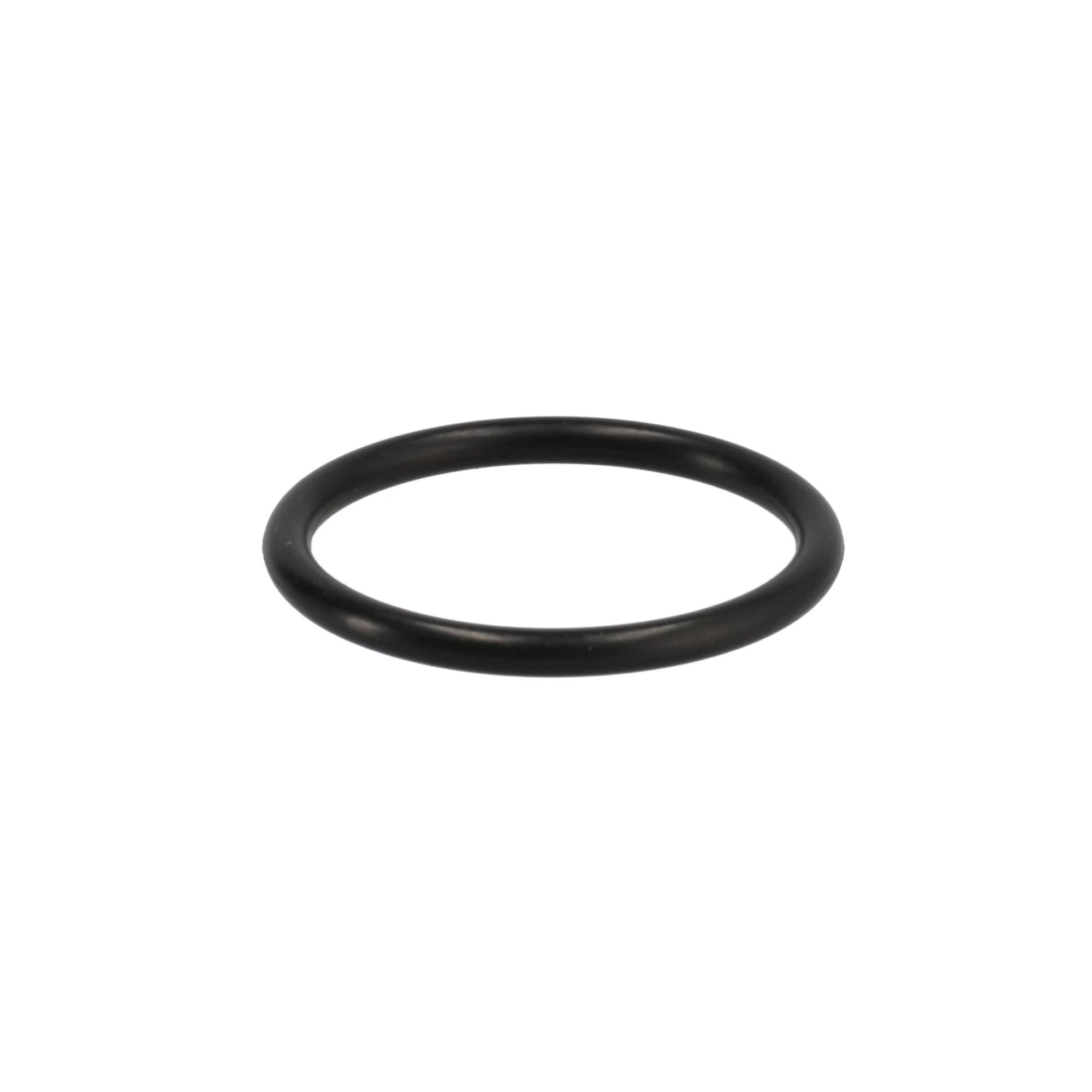 O-RING | CASEIH | US | EN