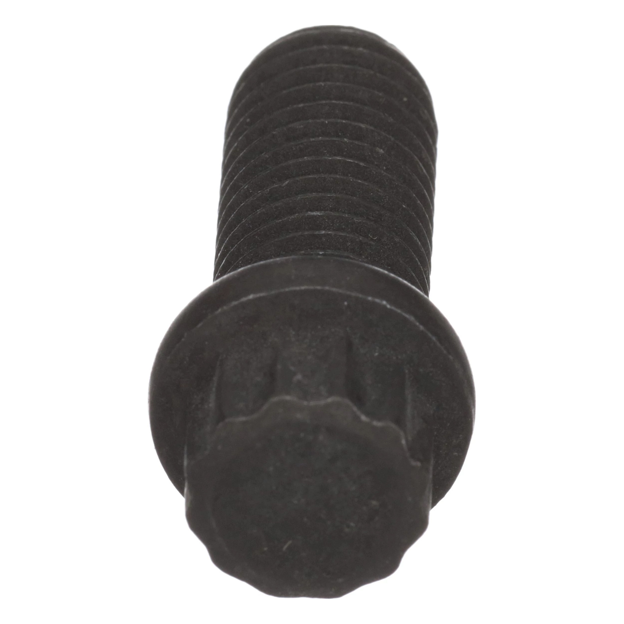 12 PT SCREW | NEWHOLLANDCE | EU | ES