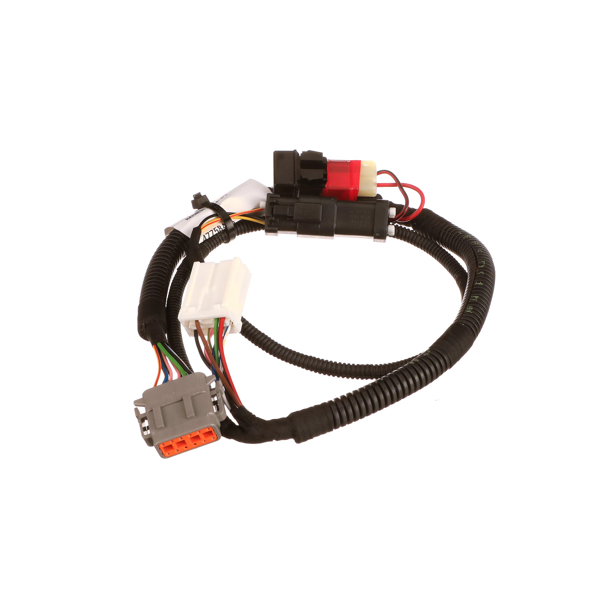 CHICOTE | CASECE | BR | PT