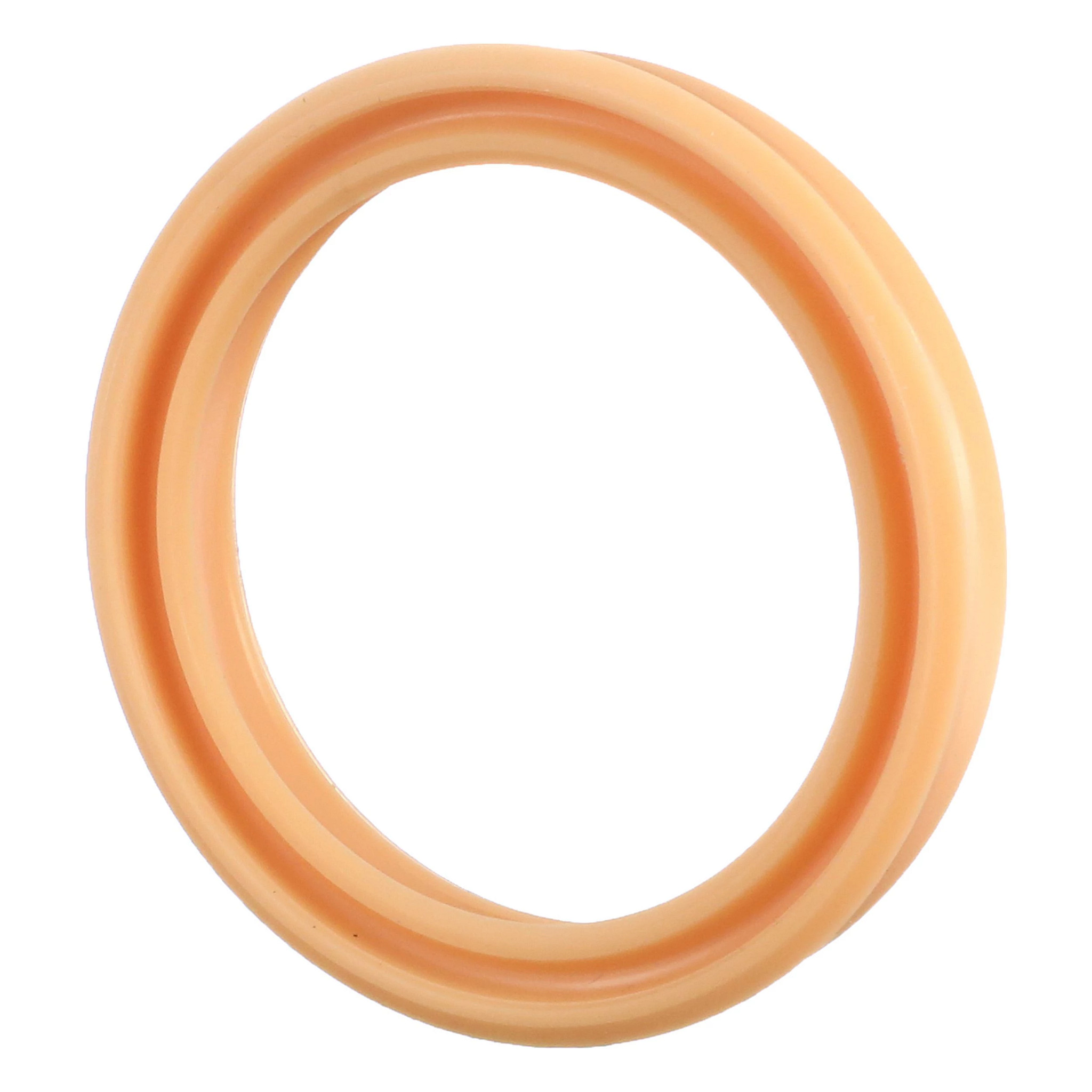 SEAL | CASEIH | US | EN